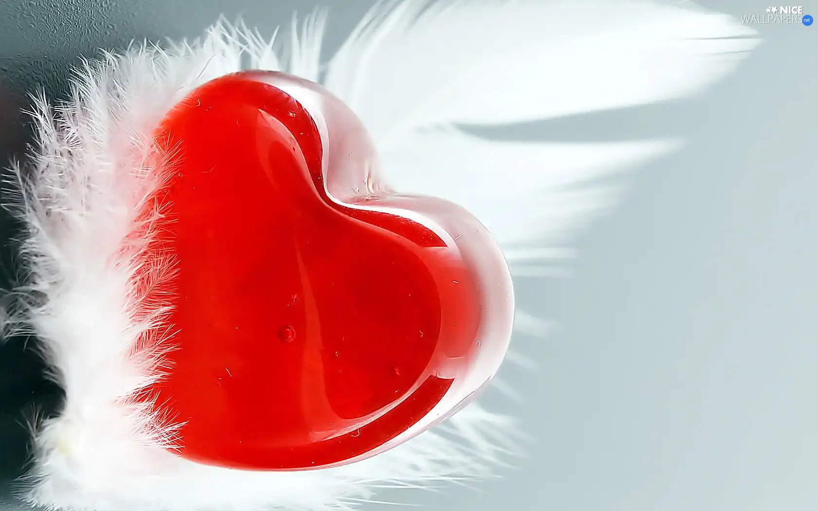 love, Heart, feather