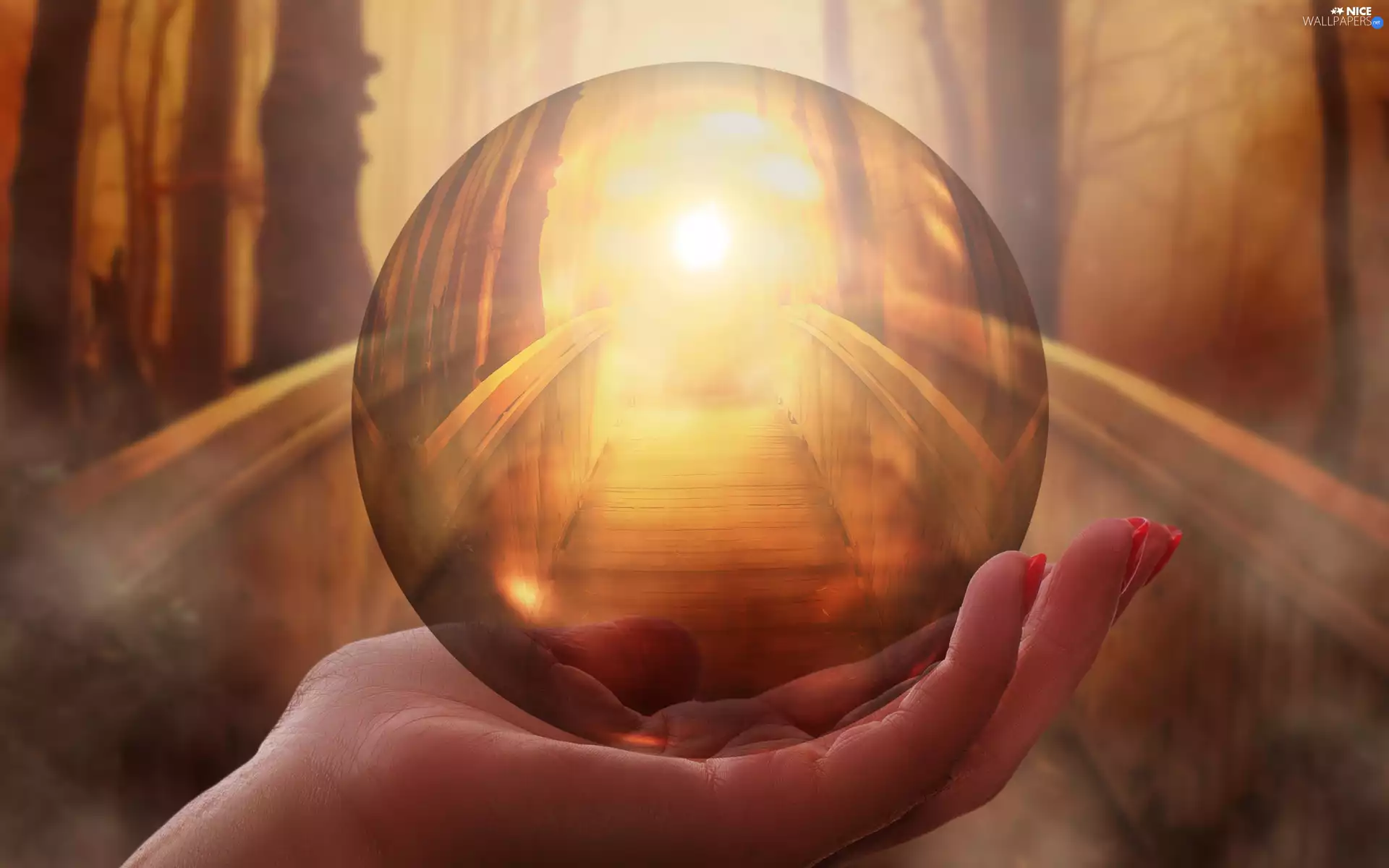 bridge, hand, viewes, trees, sun, sunny, luminosity, Orb, clear, flash, ligh