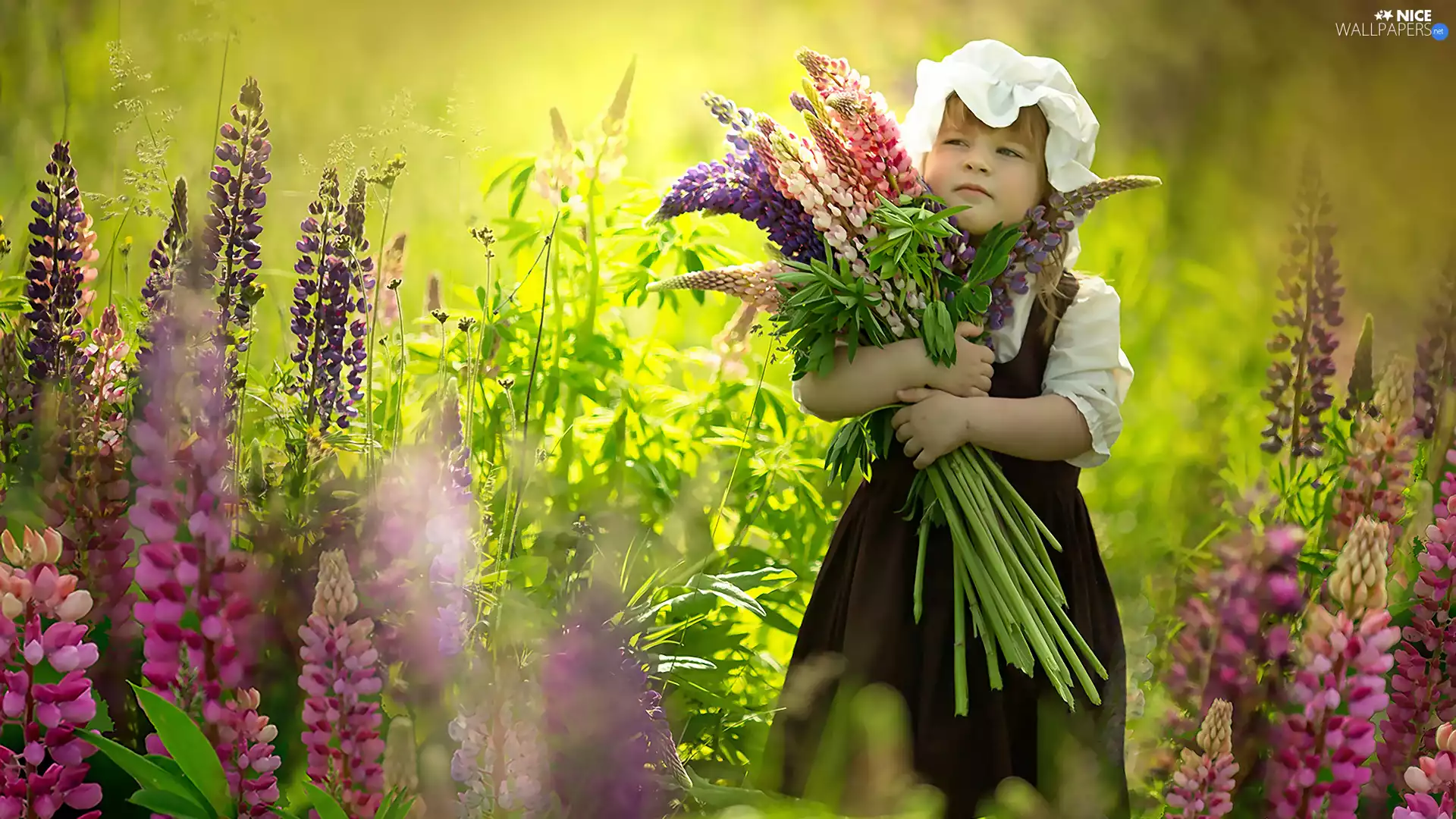Flowers, Kid, girl, lupine