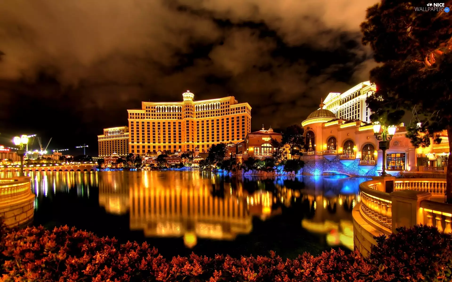 light, luxury, night, water, Town