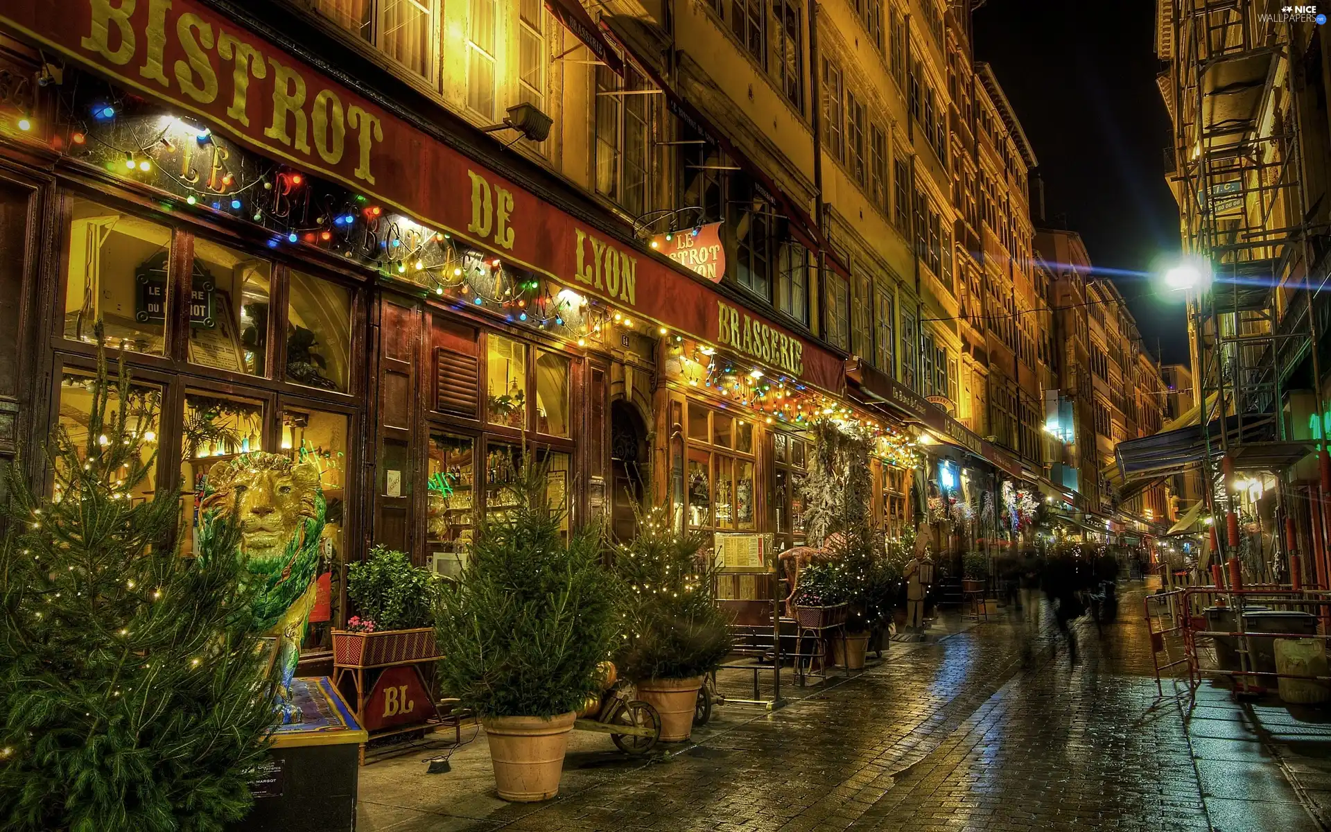 Lyon, France, Town, Night, Street