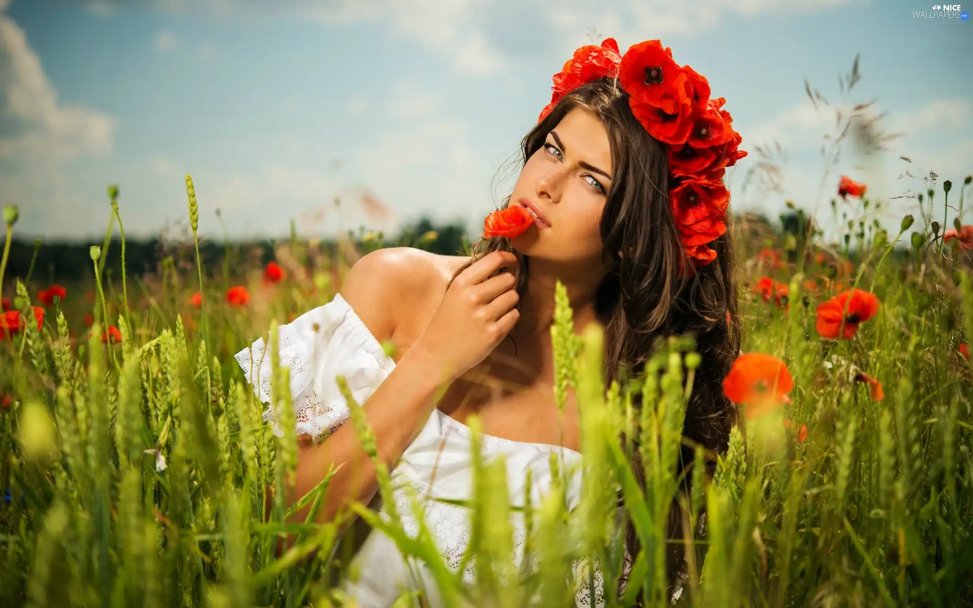 DBZ, girl, Meadow, wreath, Beauty, Mac, grass