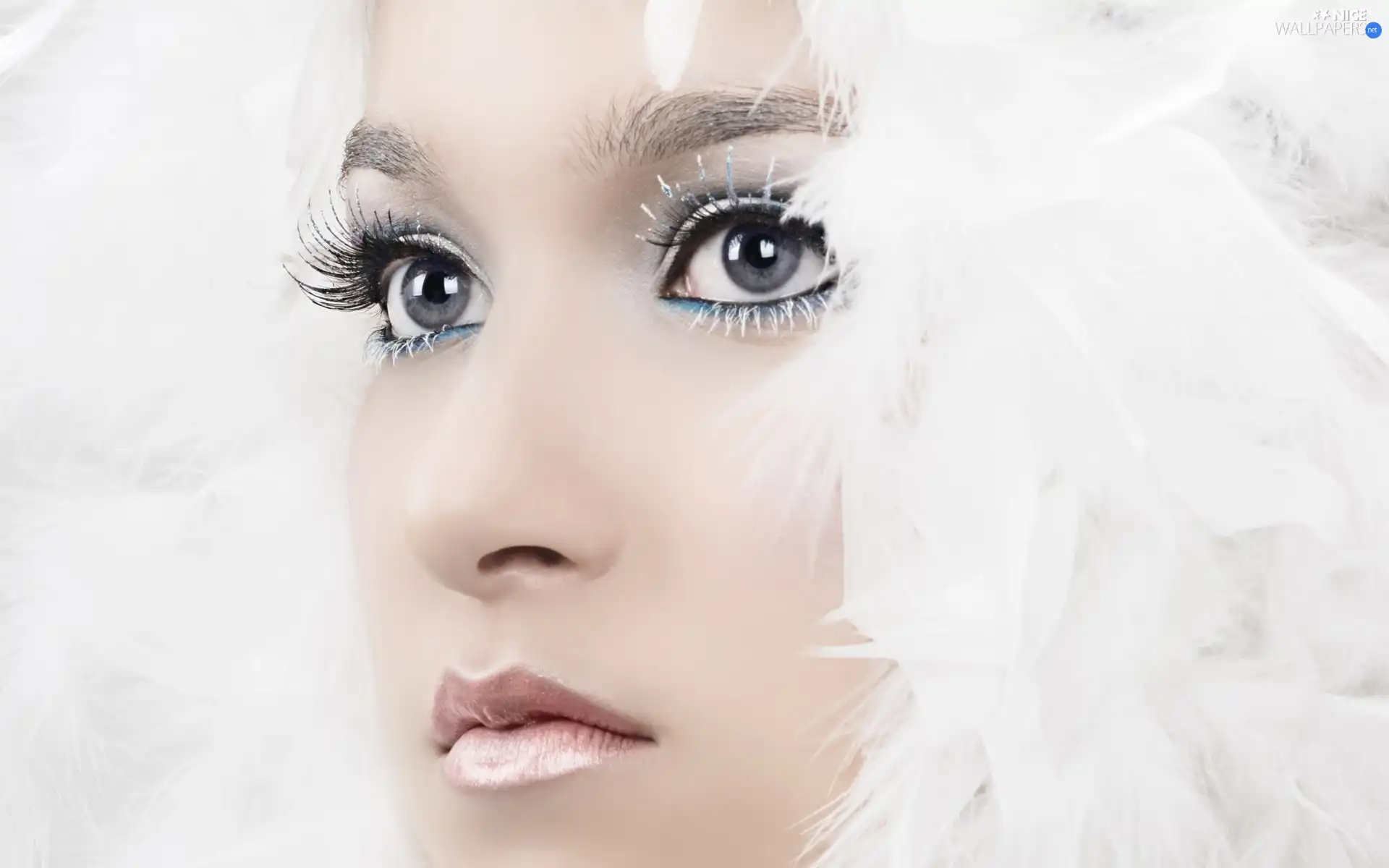 feather, Women, make-up