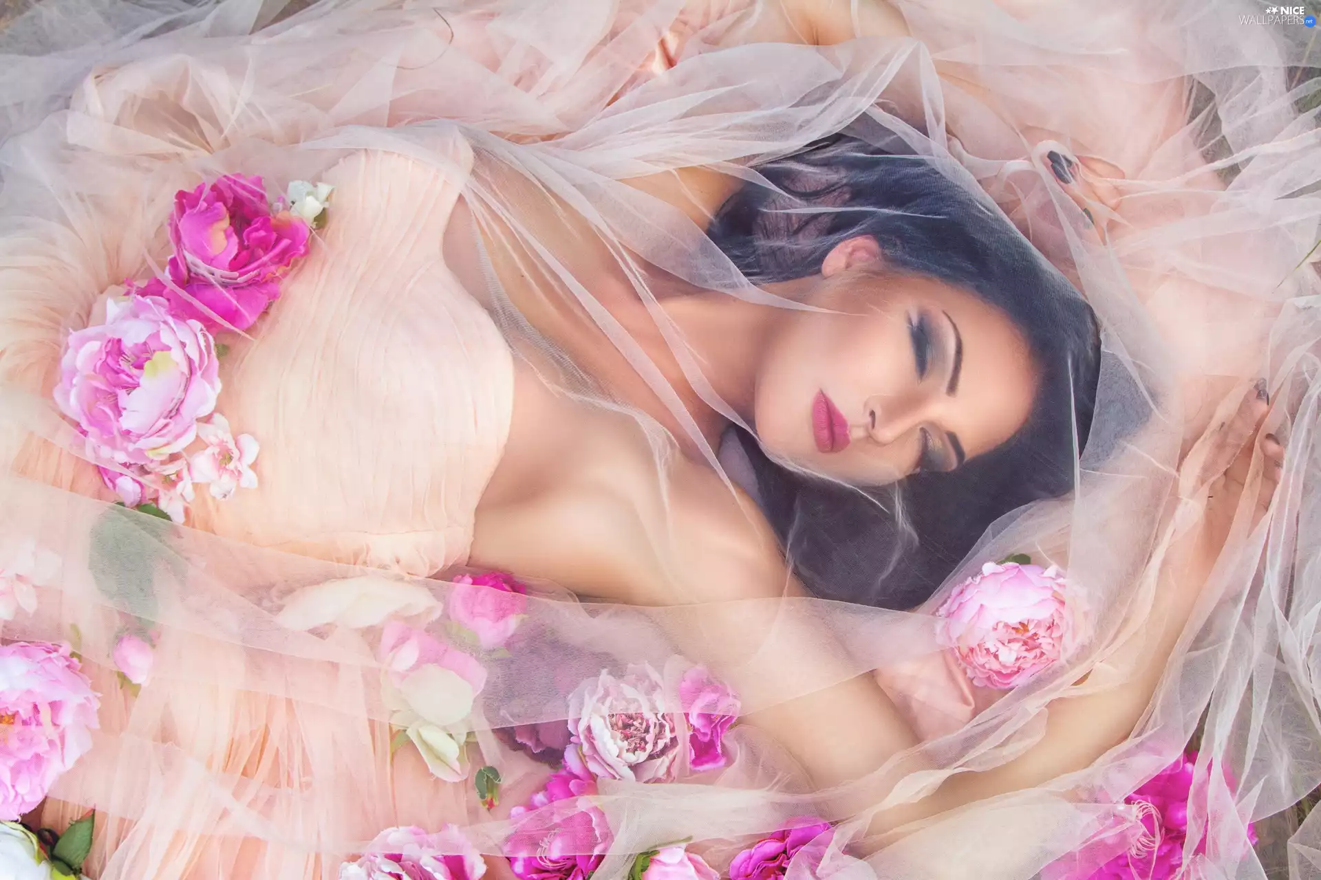 make-up, young lady, veil, Dress, Women, tulle, Flowers