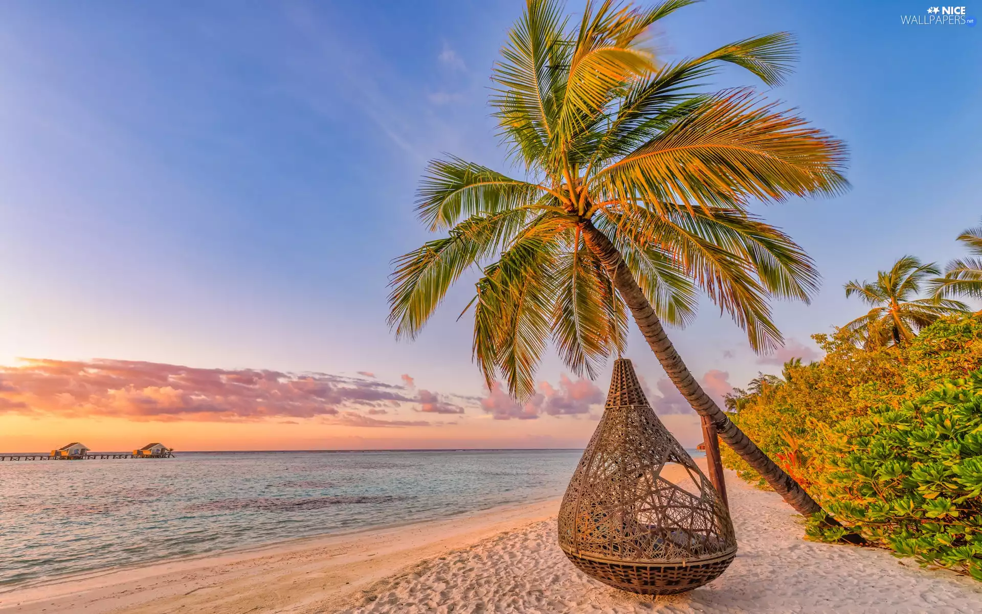 Hammock, Maldives, Beaches, Palms, sea