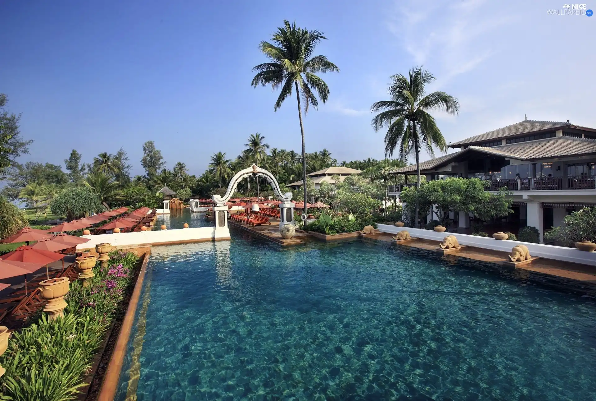 Hotel hall, tropic, Maldives, Pool