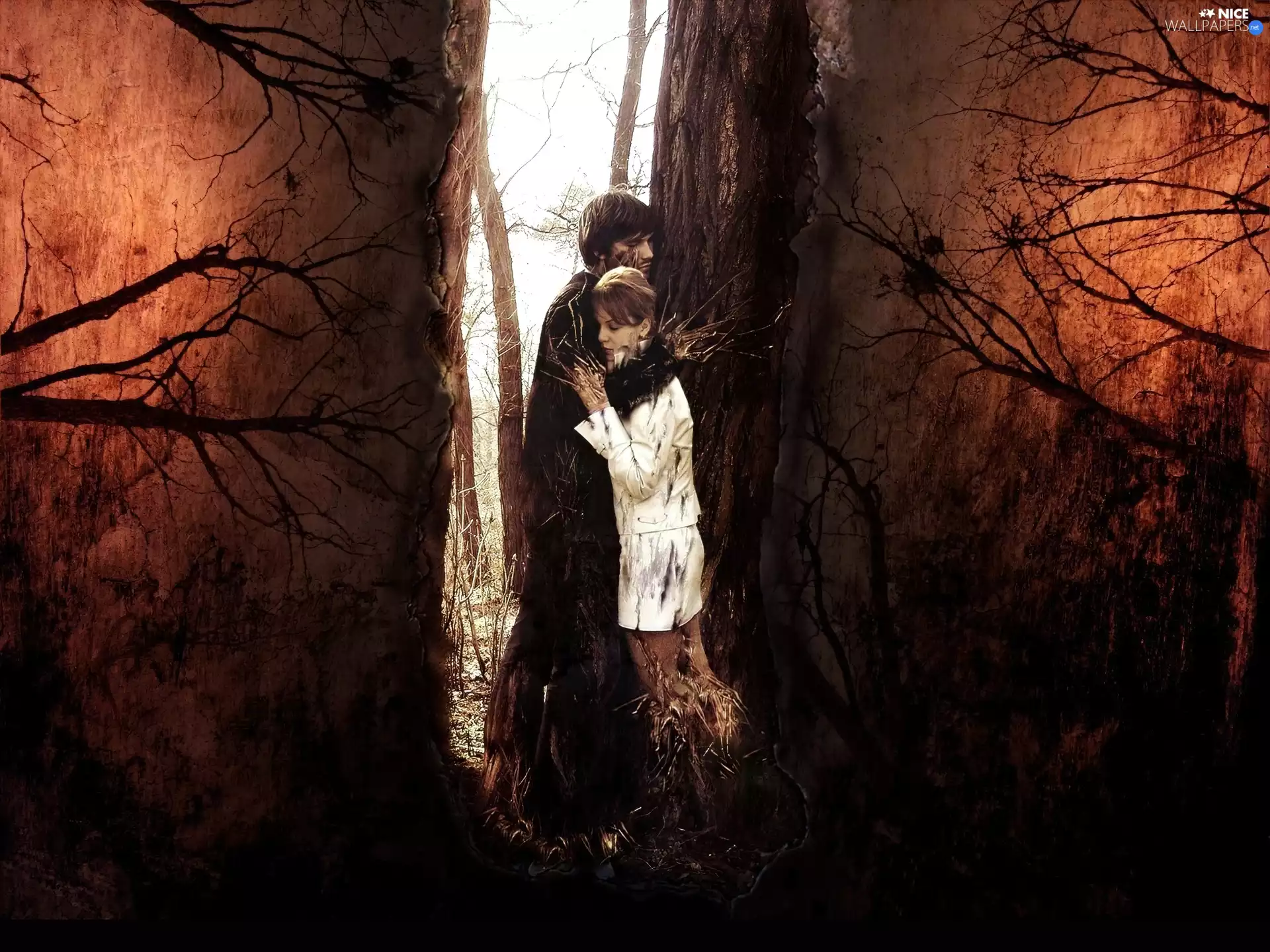 Bush, graphics, a man, dry, Women