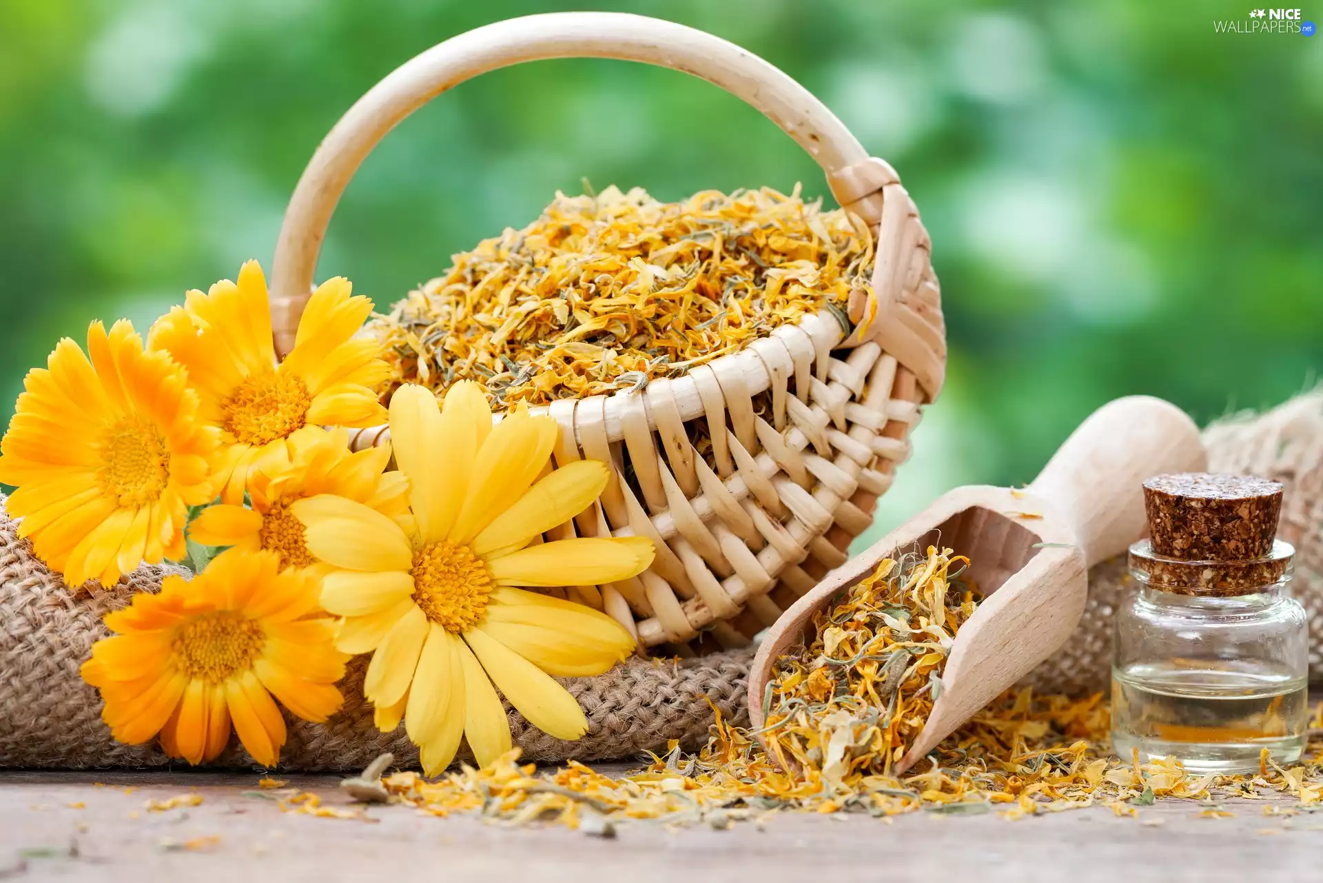 to gain, bottle, Marigold Medical, basket, Flowers