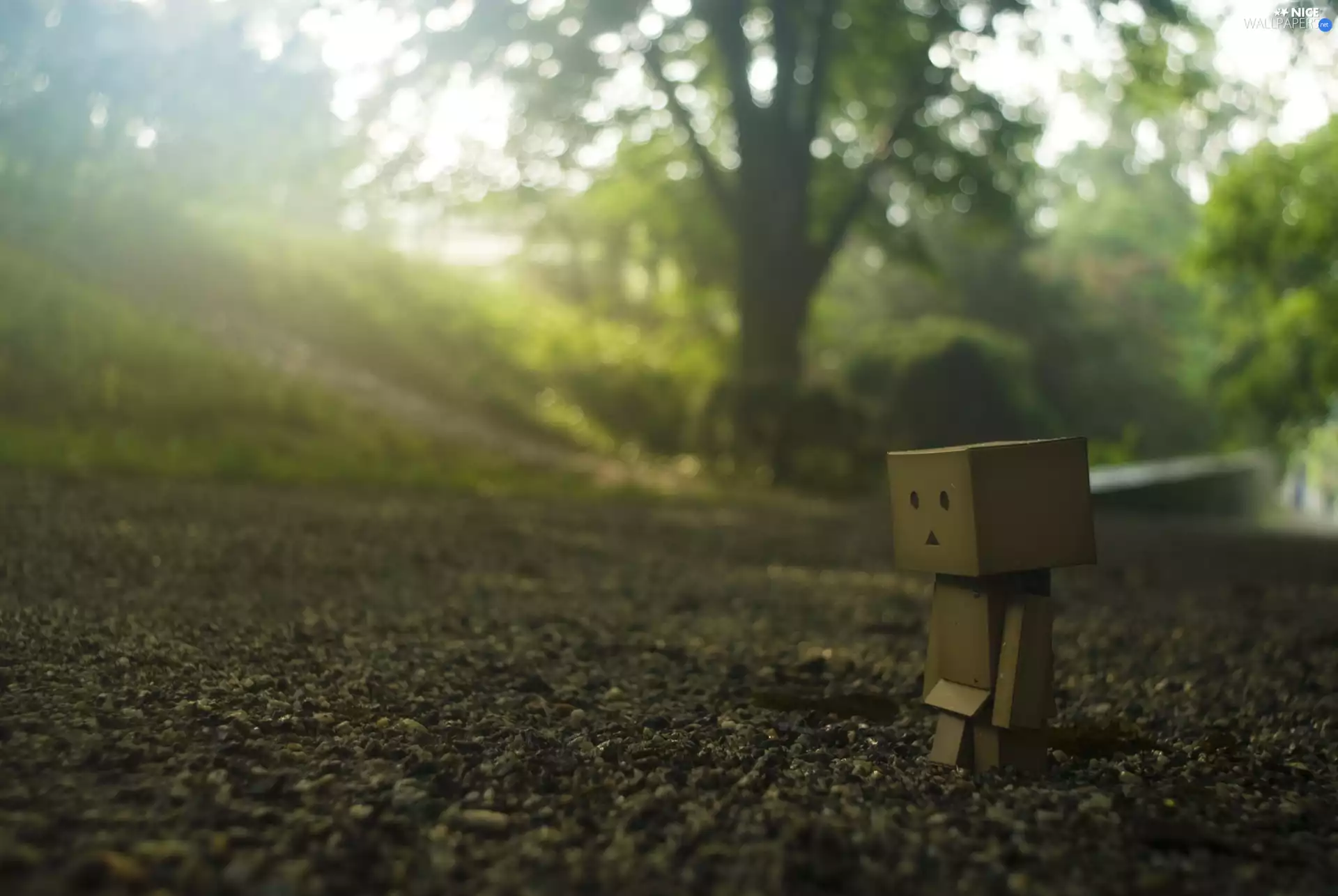 Danbo, M&Ms mate, wander, plastic
