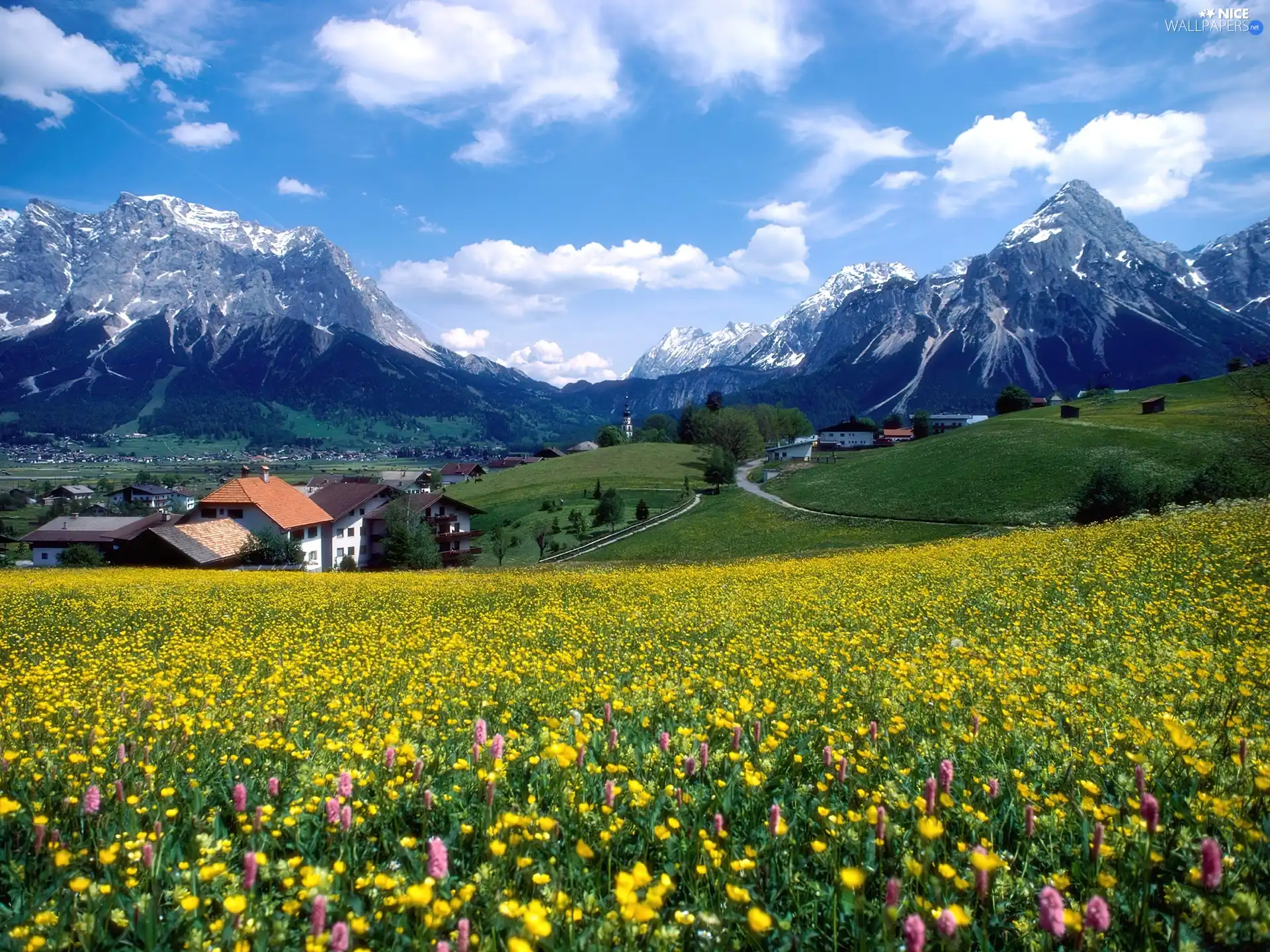 clouds, Mountains, Meadow, colony