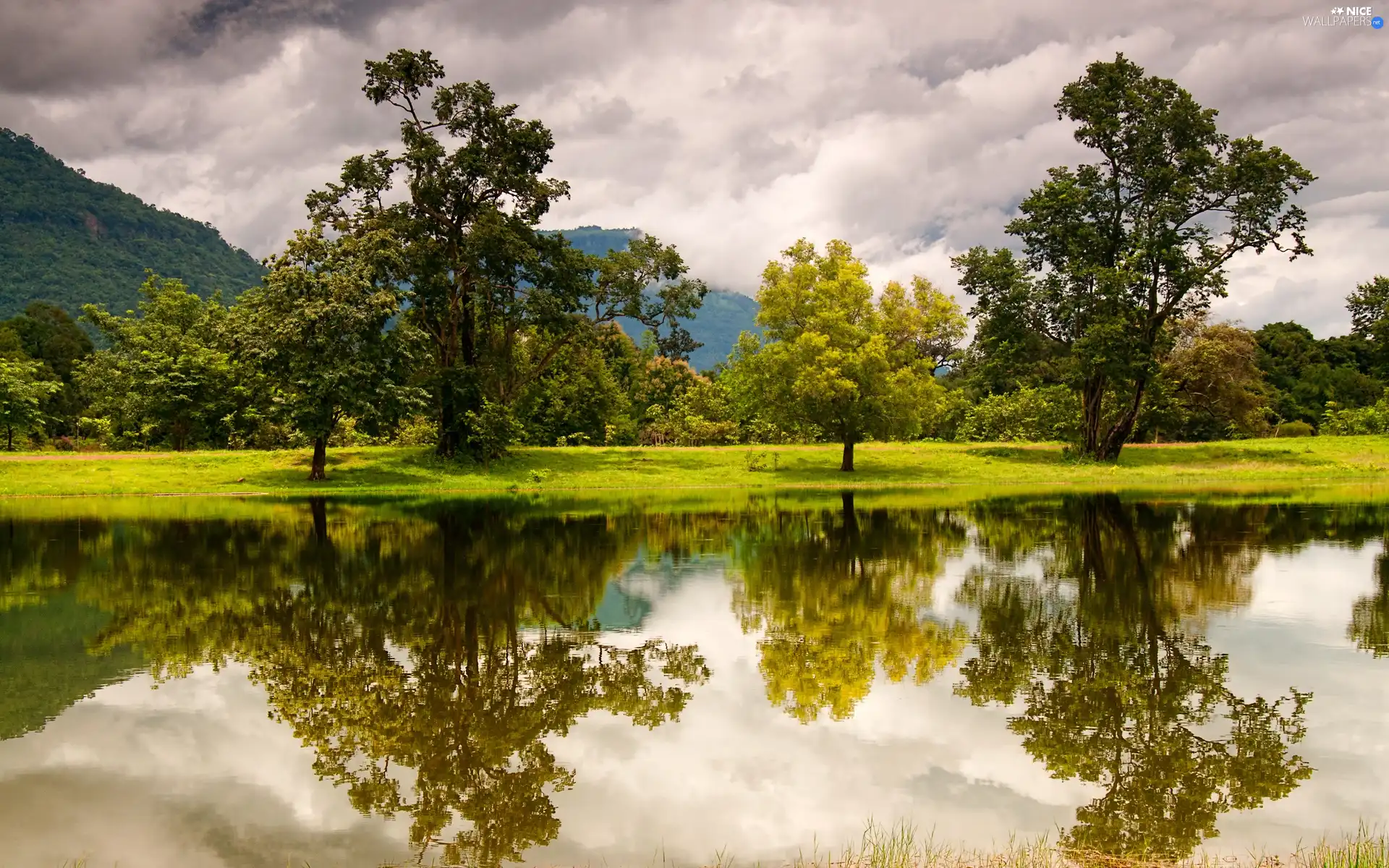 Meadow, clouds, trees, viewes, River