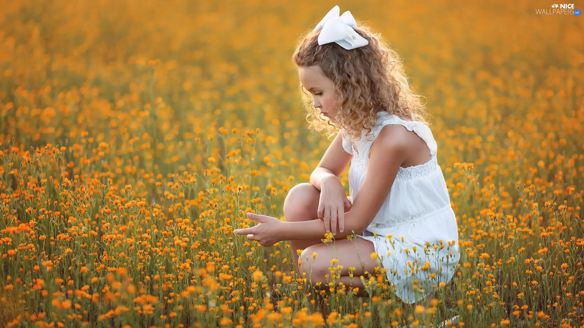 Meadow, summer, Flowers, girl, curls, Loop, dress, Hair, White