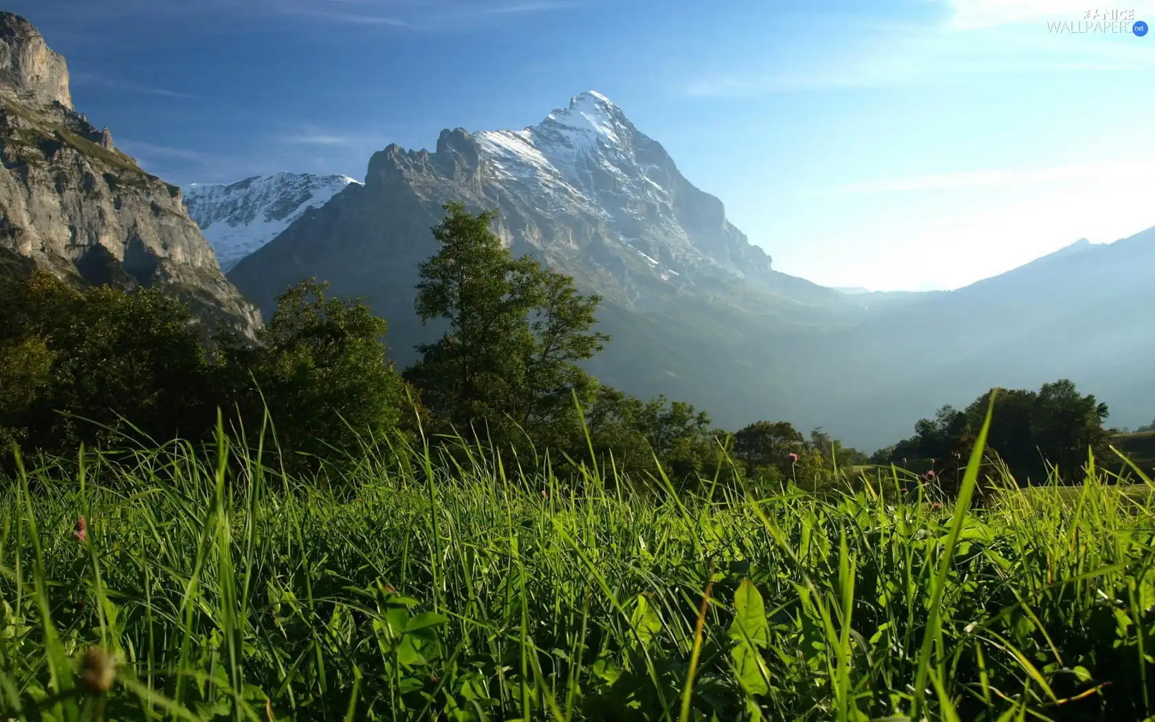 Meadow, Mountains, Fog