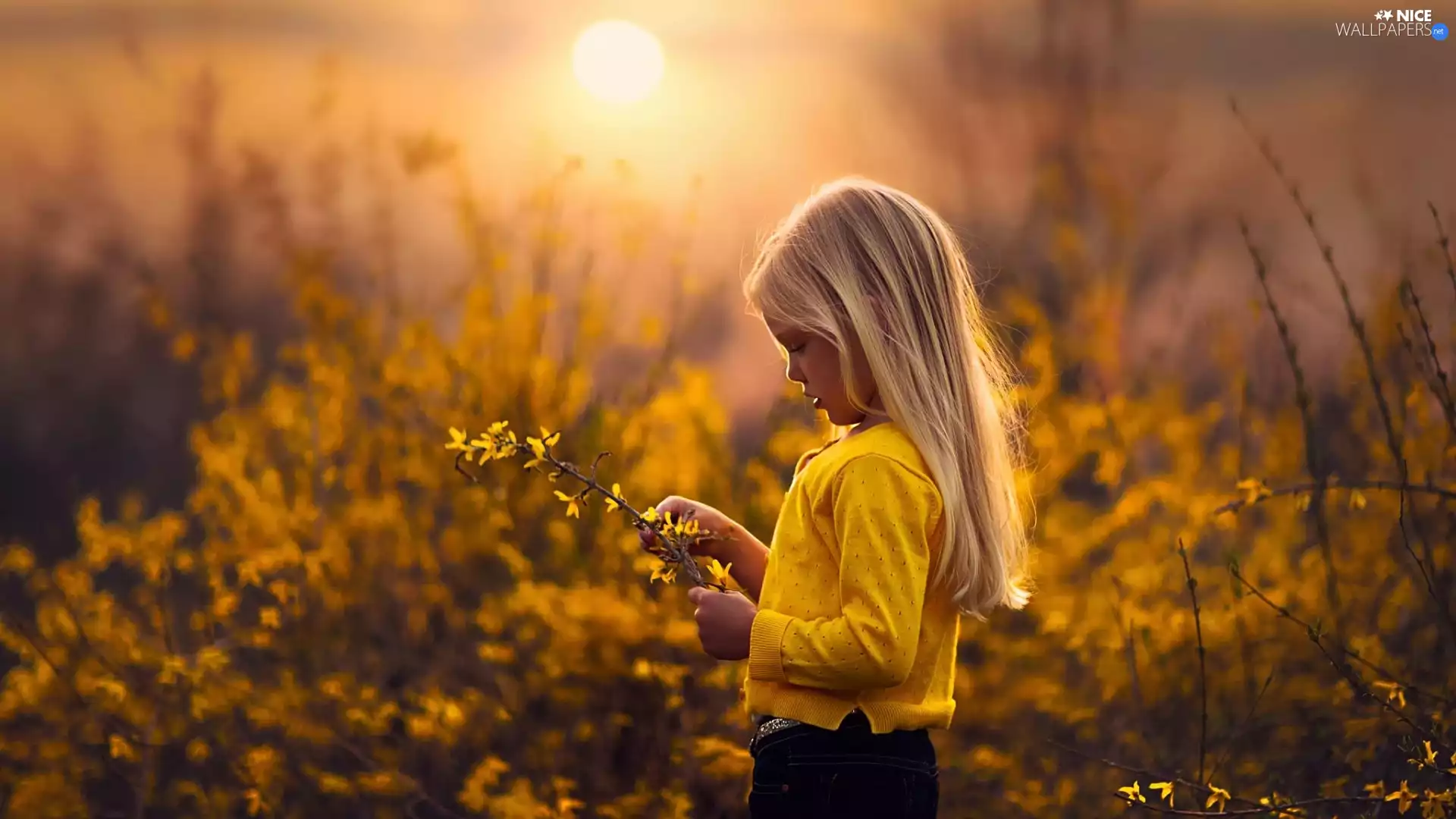 girl, west, sun, Meadow