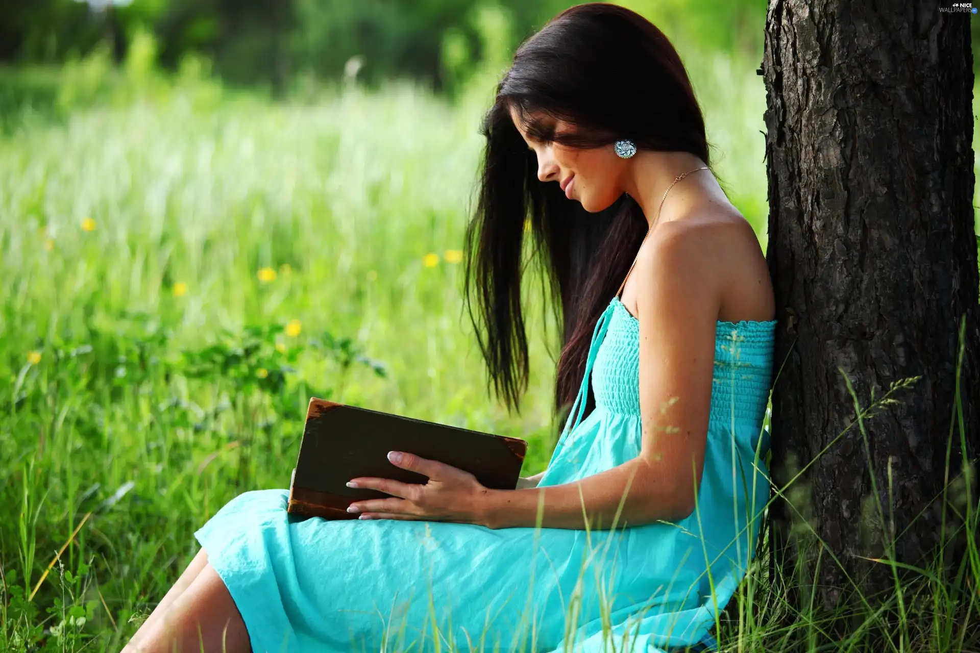 girl, trees, Meadow, Book