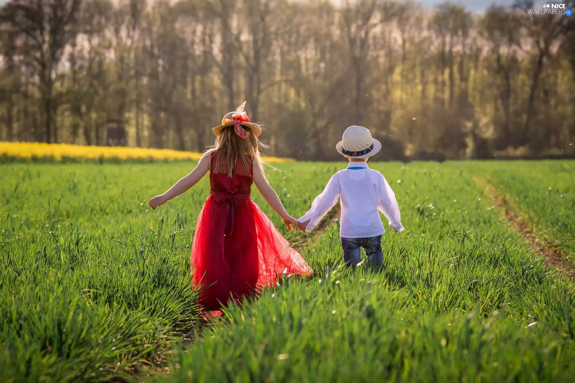 dress, girl, Hat, red hot, Kids, boy, Meadow