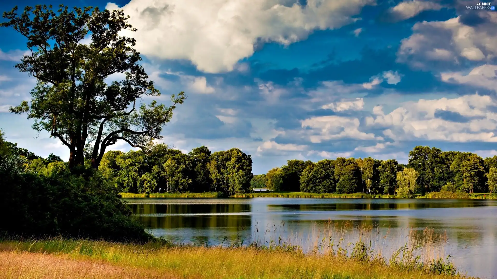 Meadow, clouds, lakes