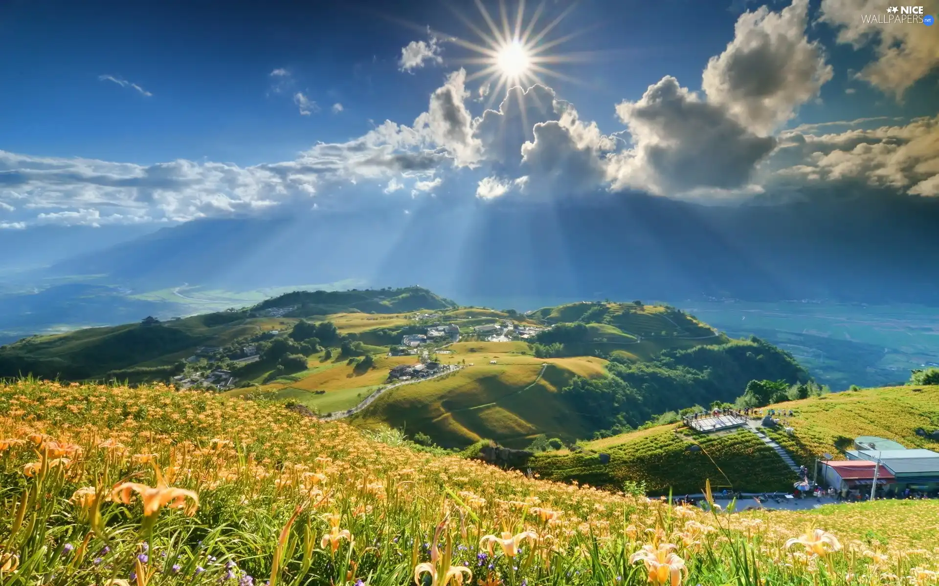 Meadow, lilies, sun, Mountains, rays