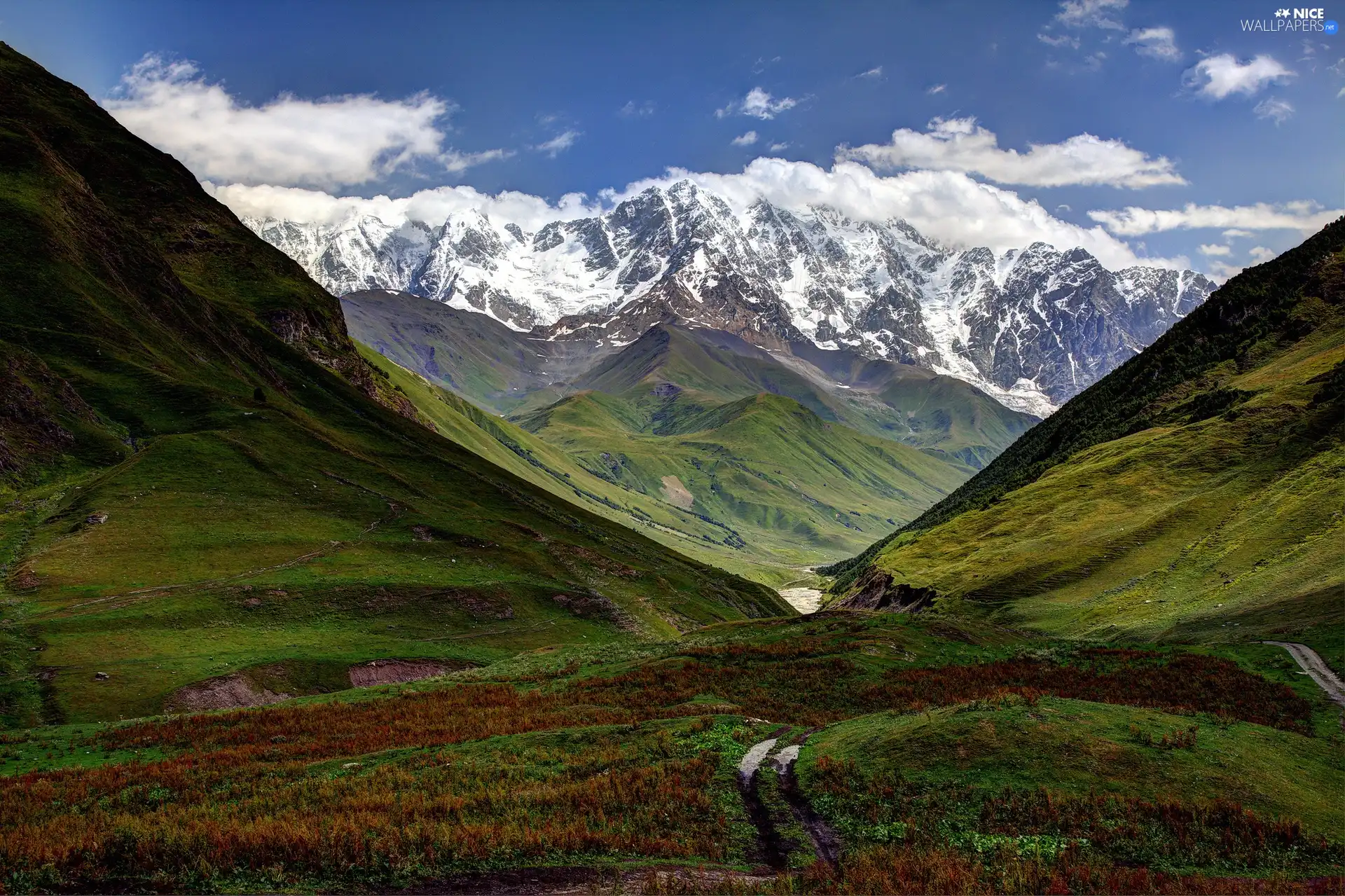 Mountains, Meadow