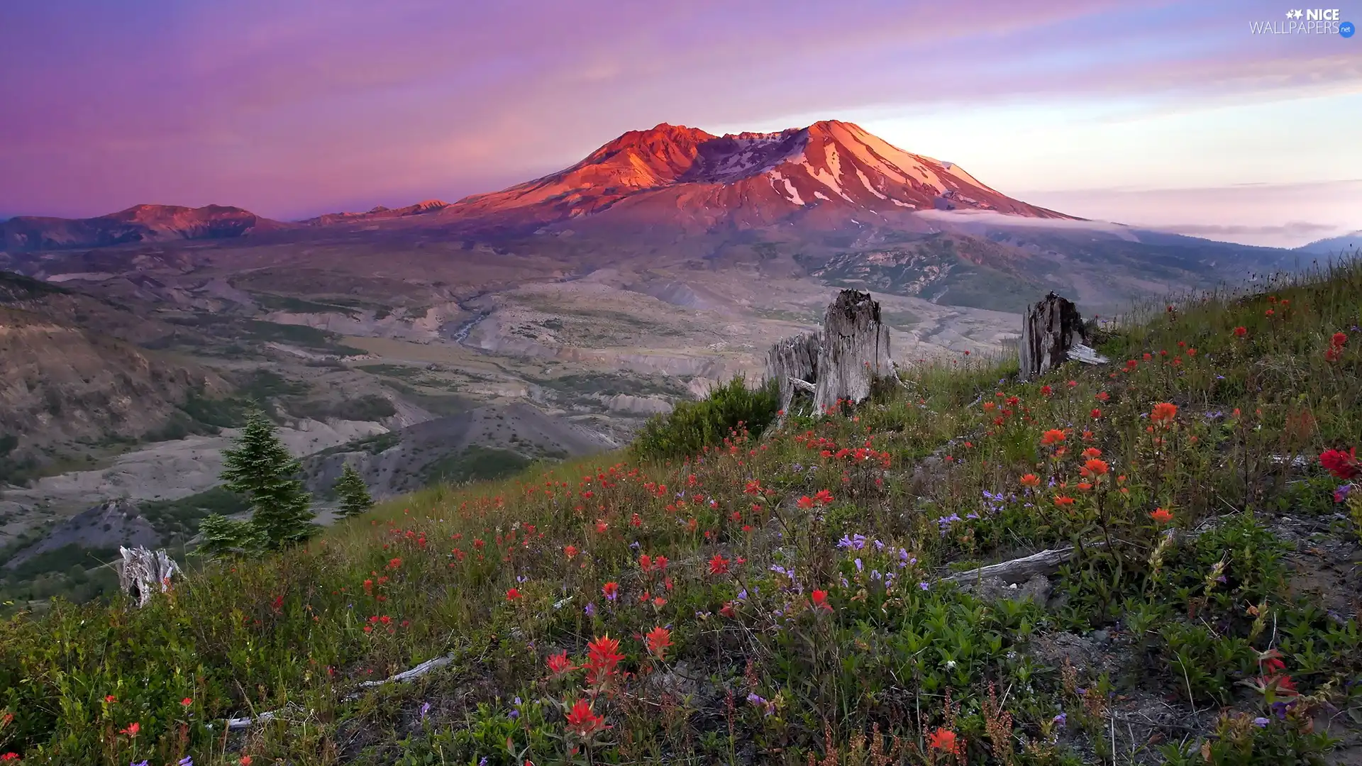 Mountains, Meadow