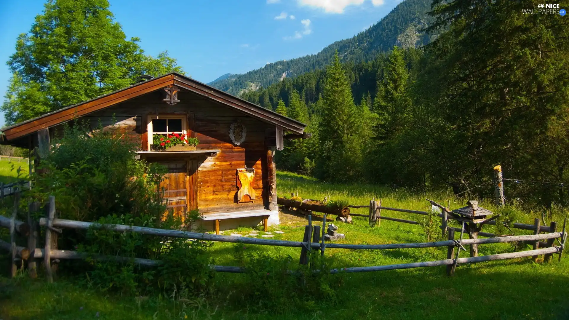 Mountains, Home, Meadow, woods