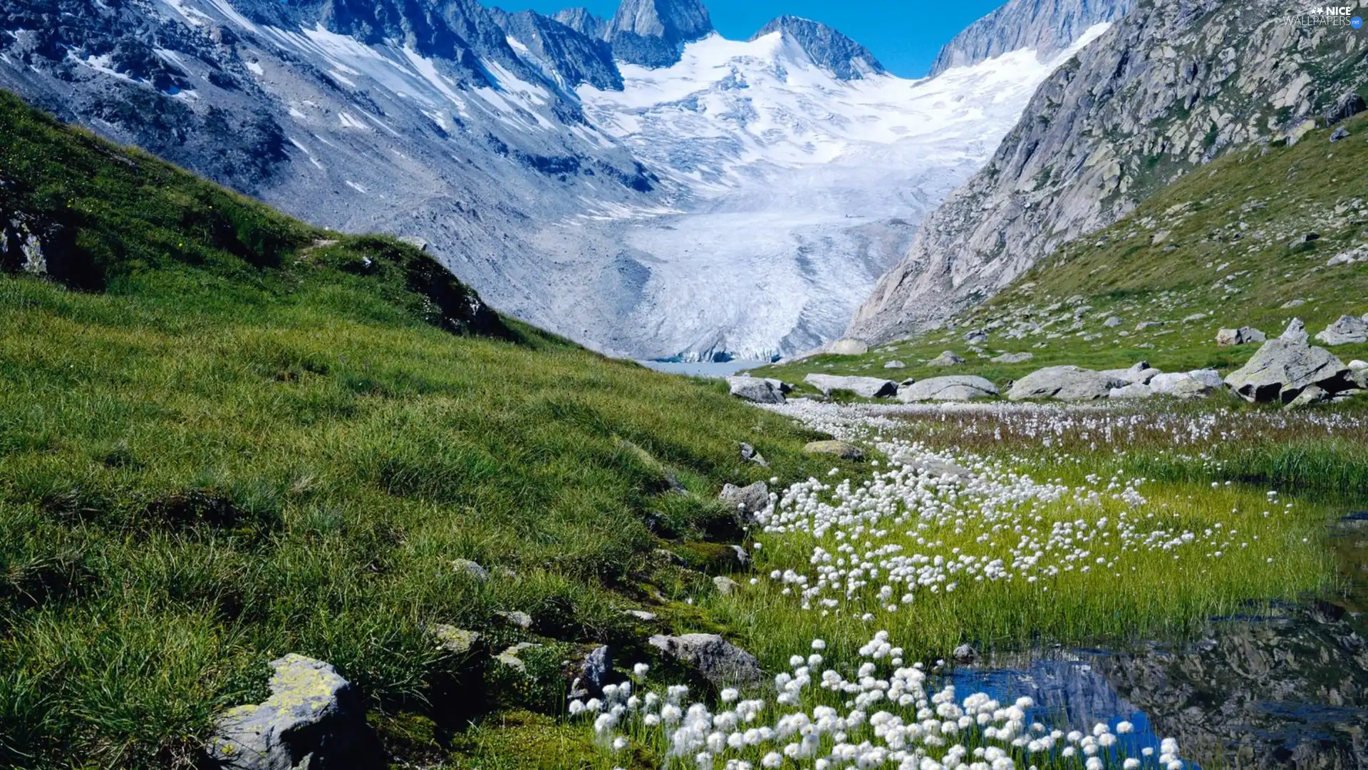 Meadow, Spring, Mountains