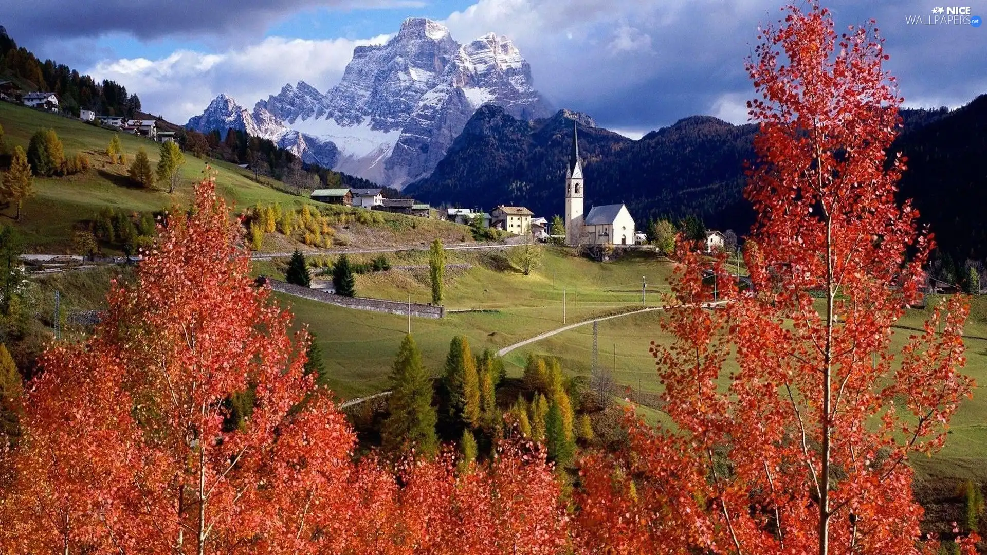 Mountains, viewes, Meadow, trees