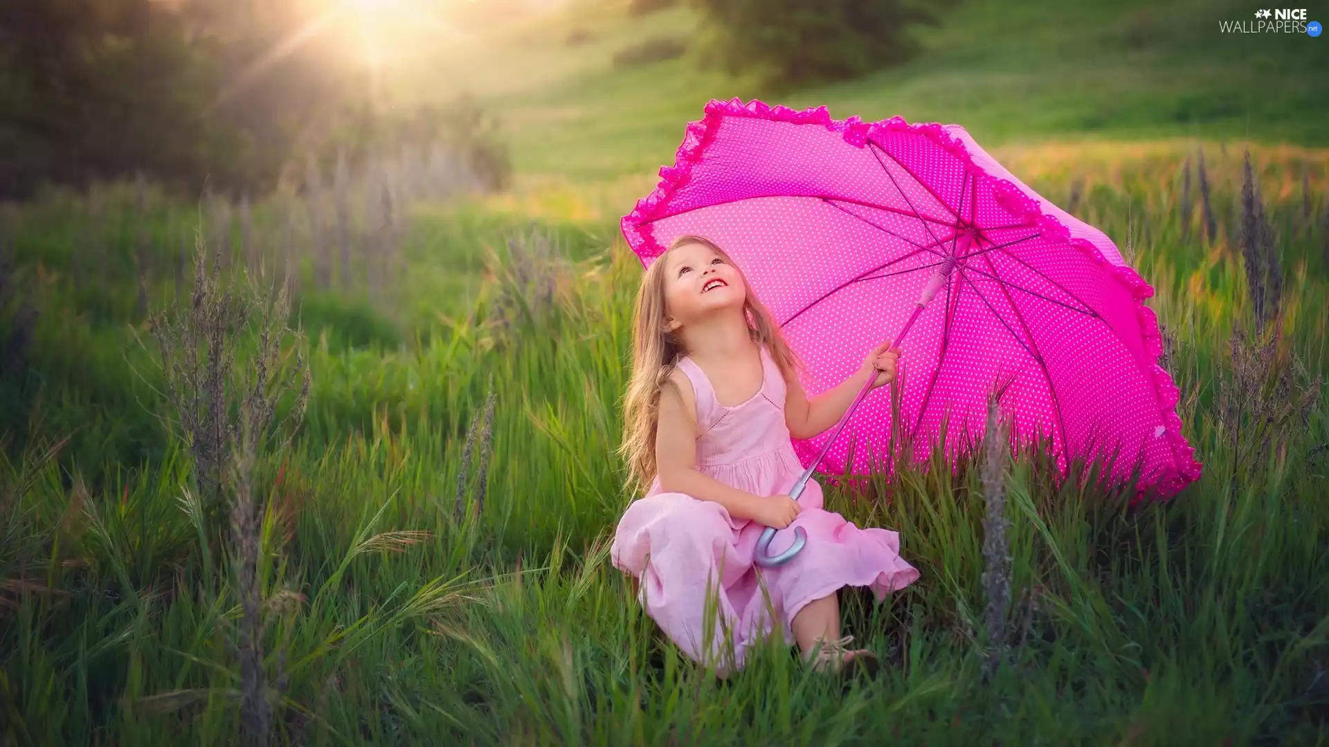 umbrella, rays of the Sun, girl, Pink, Meadow