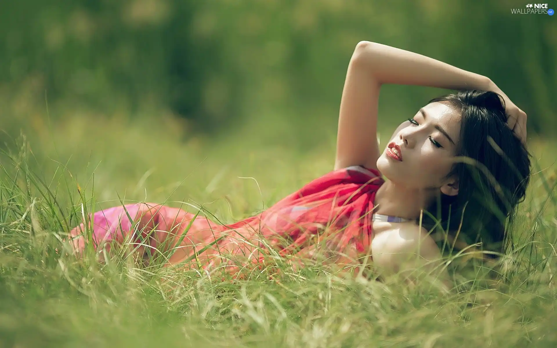 brunette, dress, Meadow, red hot