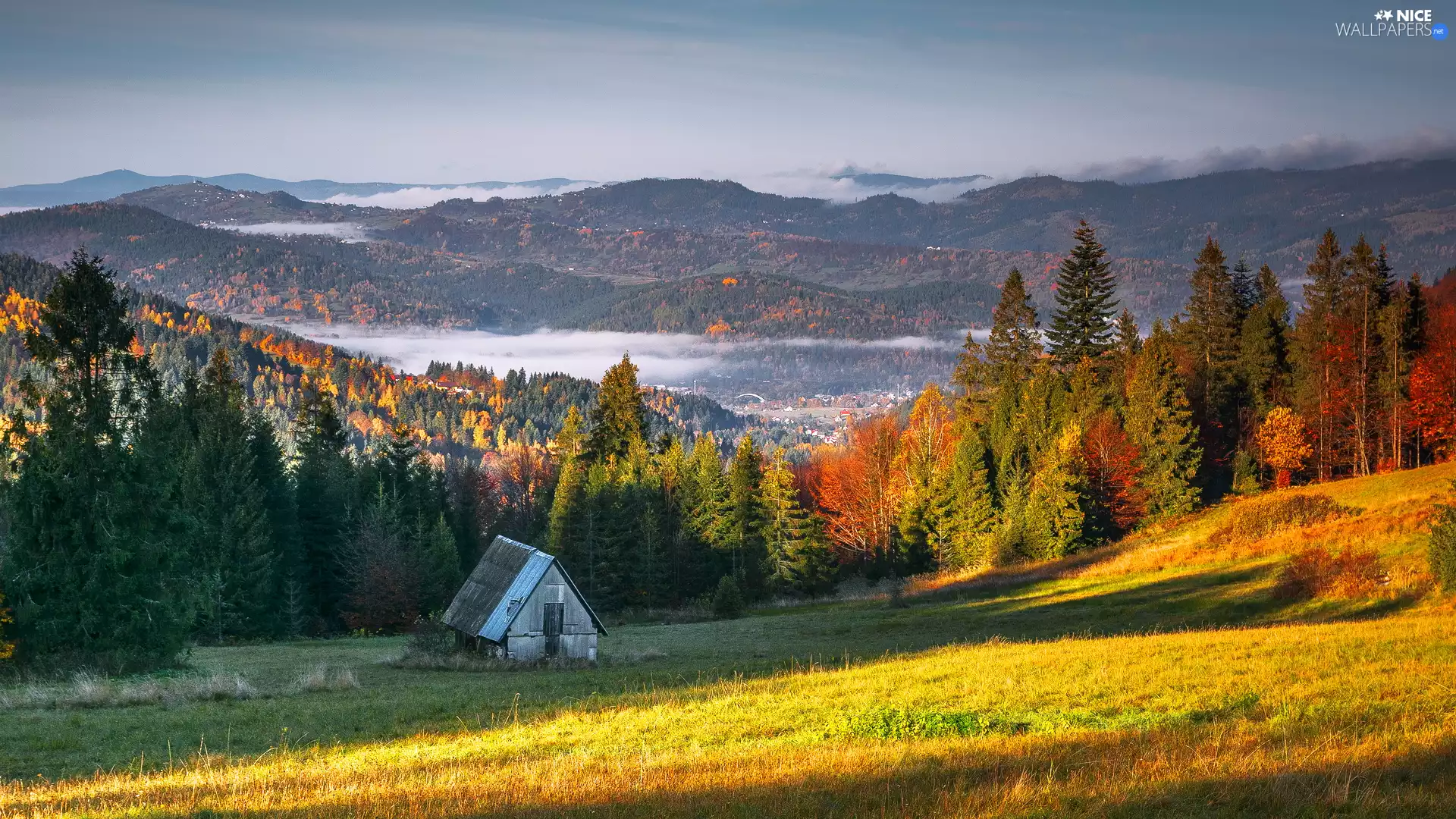 color, autumn, trees, viewes, Mountains, Poland, car in the meadow, cote, forest