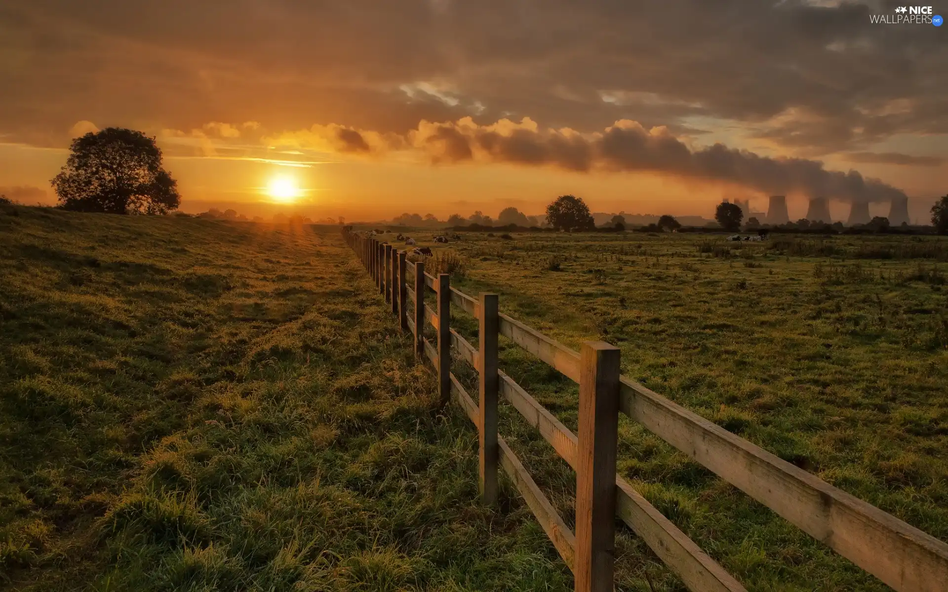 Meadow, Great Sunsets, viewes, Chimneys, trees, Fance