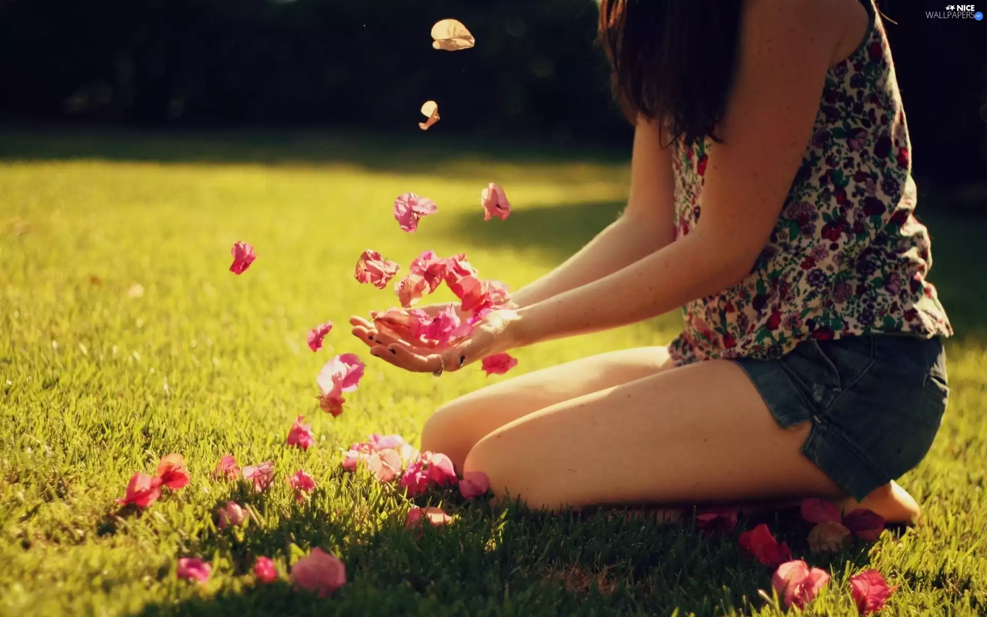 Women, flakes, flowers, Meadow