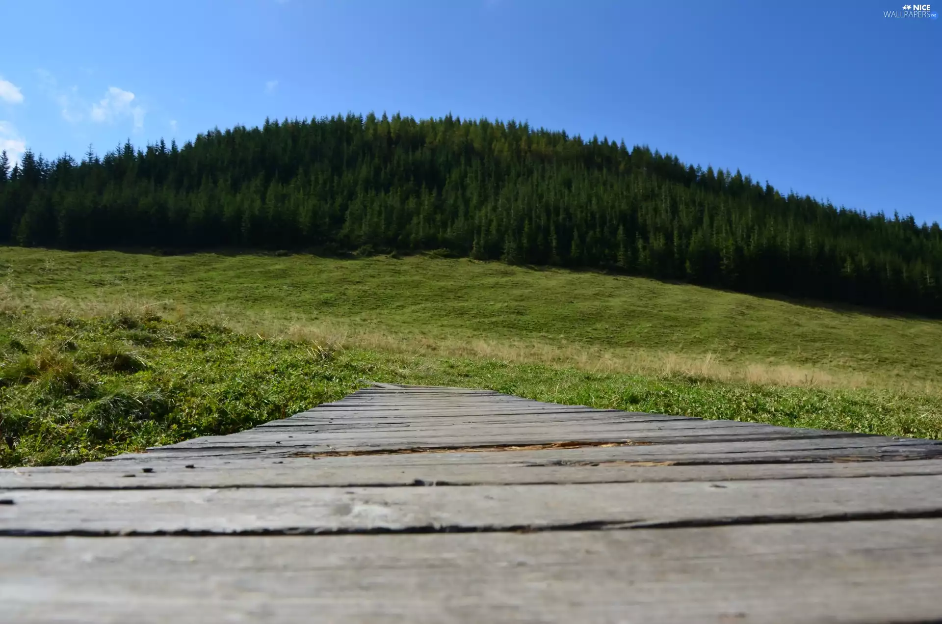 Zakopane, bridges, wooden, Meadow