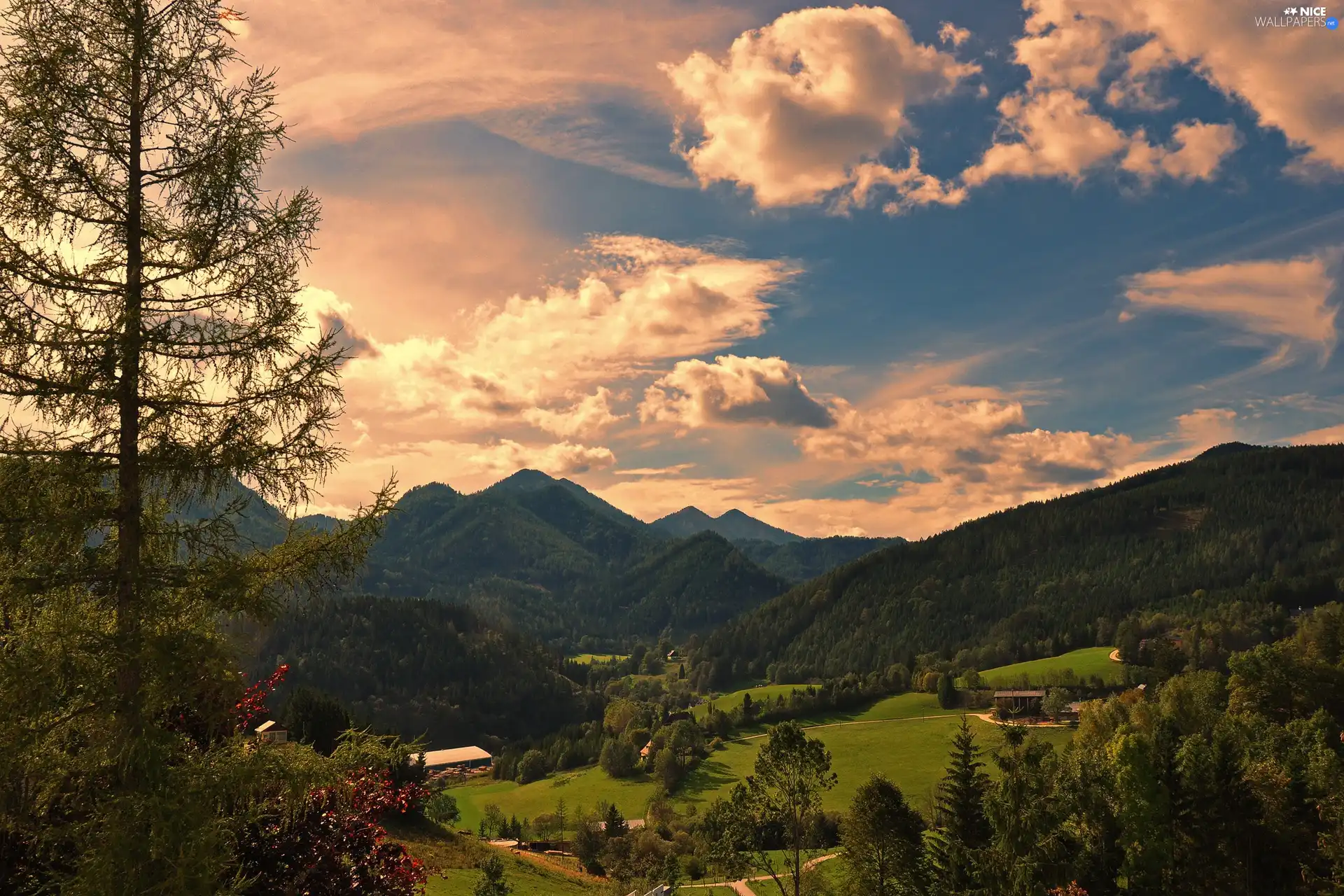 medows, clouds, woods, Farms, Mountains