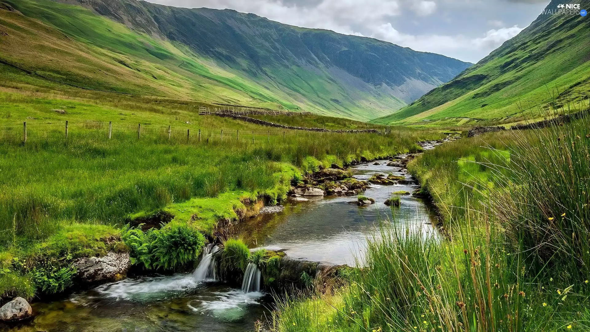 Mountains, summer, grass, medows, River, Valley
