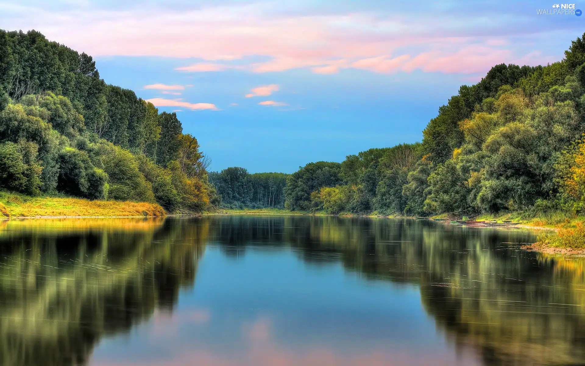 Mirror, water, trees, viewes, River