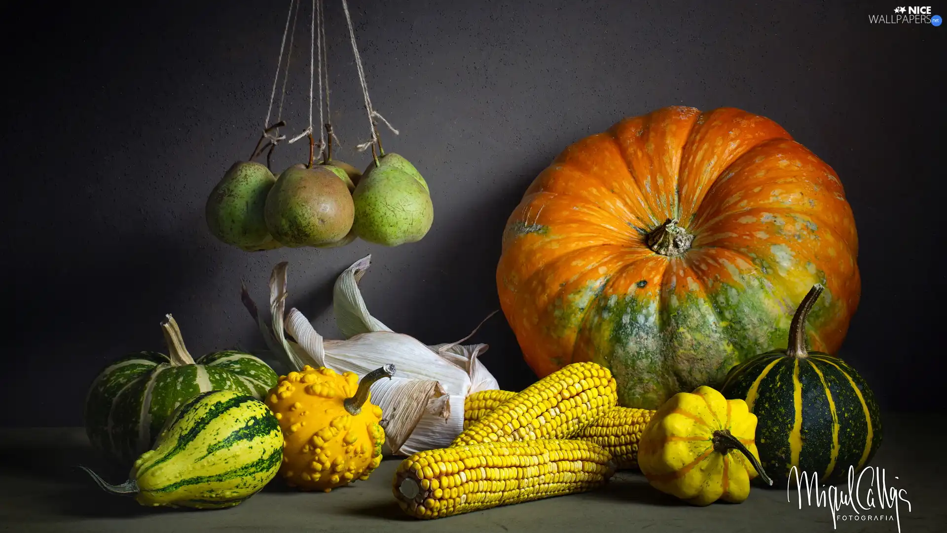 corn, truck concrete mixer, Fruits, pumpkin, vegetables