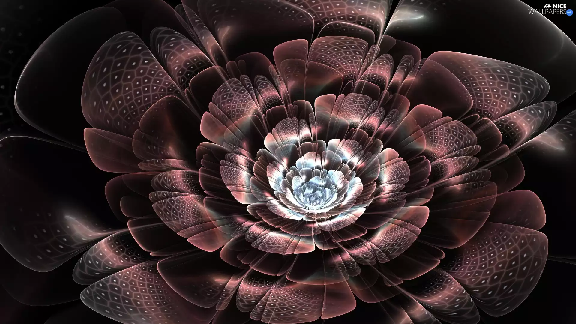 Brown, model, Fraktal, Colourfull Flowers