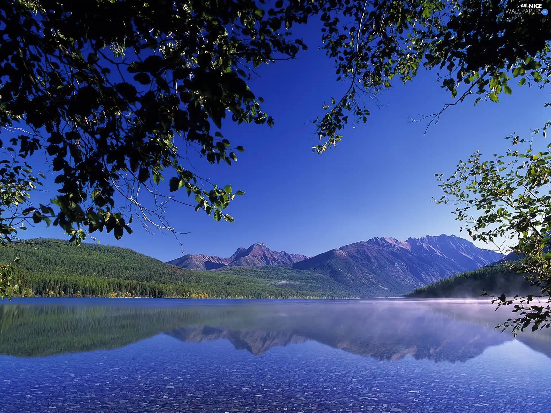 Montana, Park, Mountains, woods, River