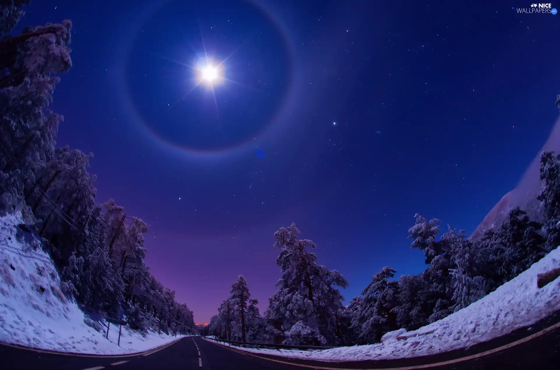 winter, forest, moon, Way