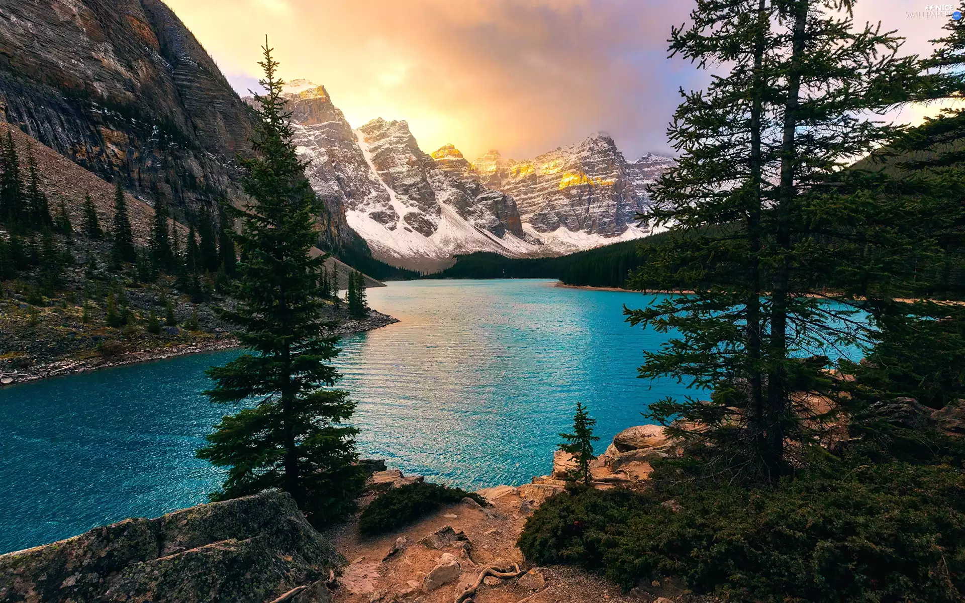forest, Alberta, Lake Moraine, viewes, Valley of the Ten Peaks, Canada, Banff National Park, Mountains, trees, Valley of the Ten Peaks