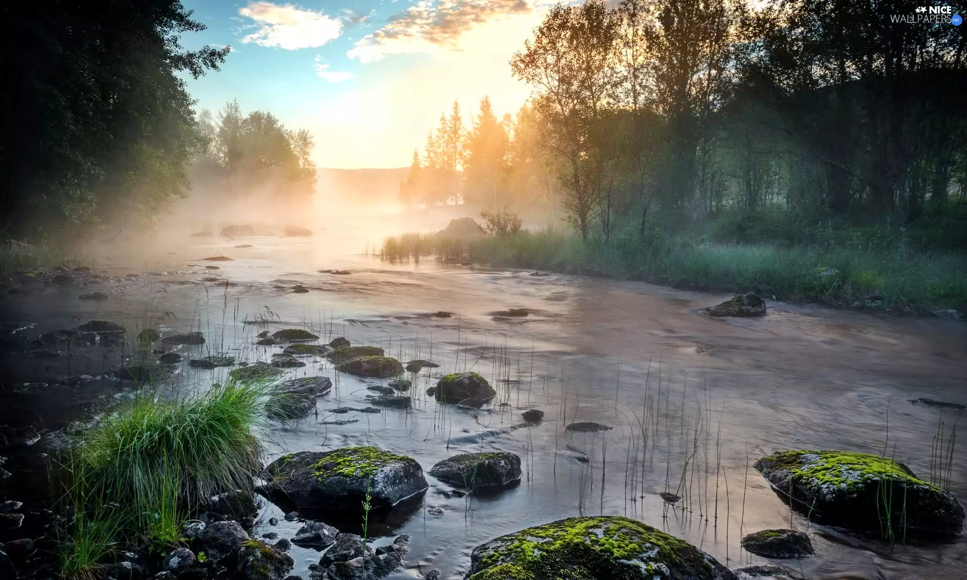 Stones, morning, Fog, mossy, River