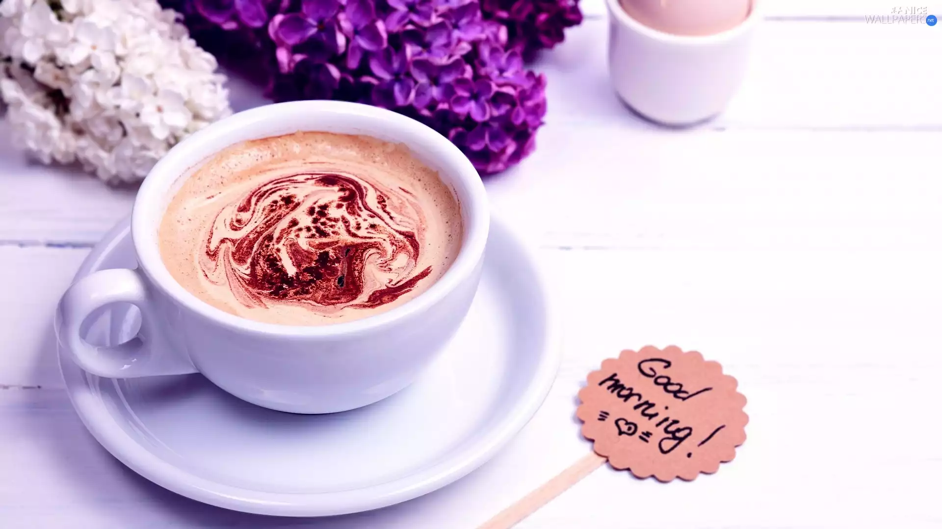 without, cup, text, Flowers, coffee, plate, Good morning