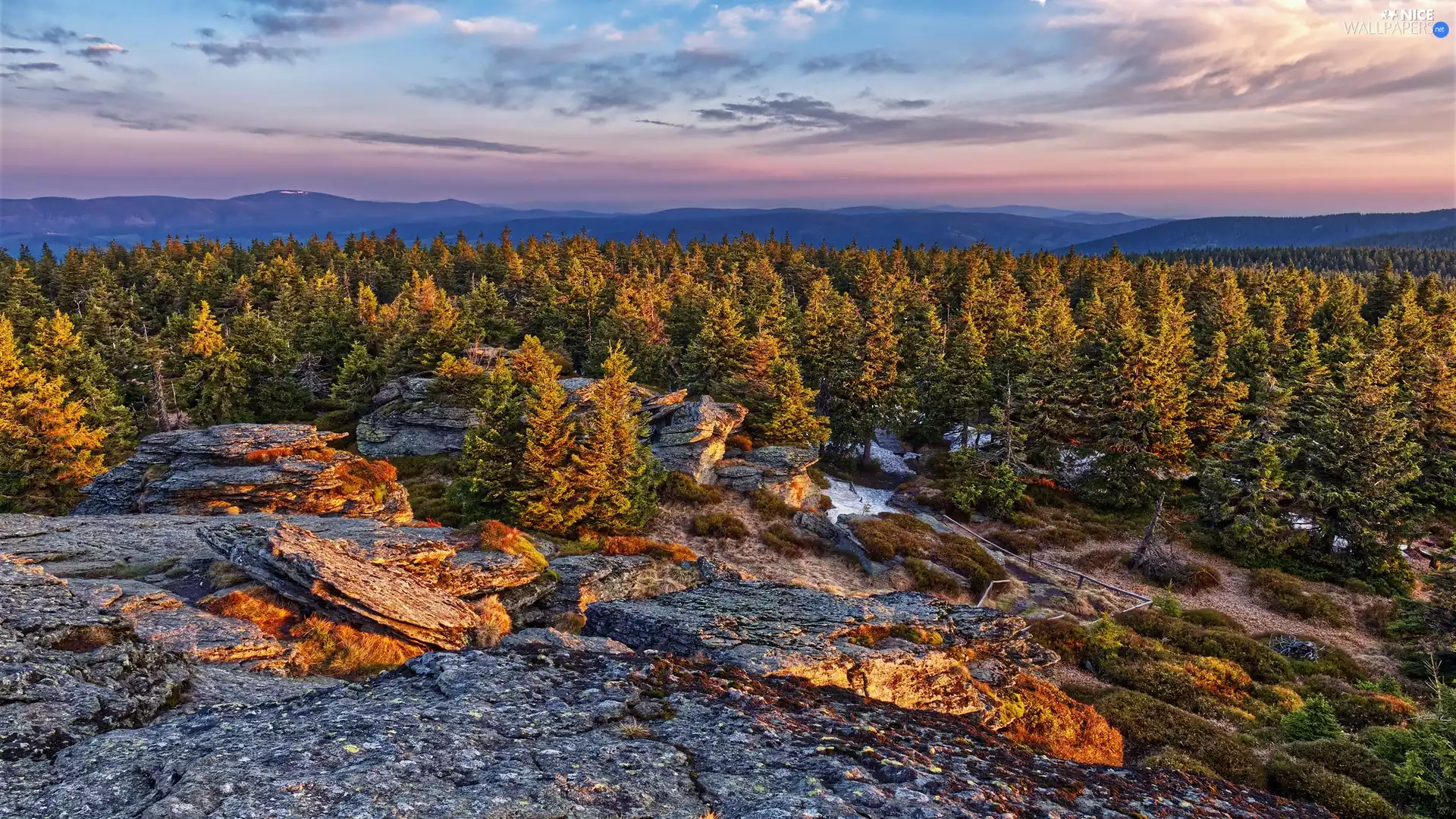 viewes, forest, Mountains, morning, rocks, trees