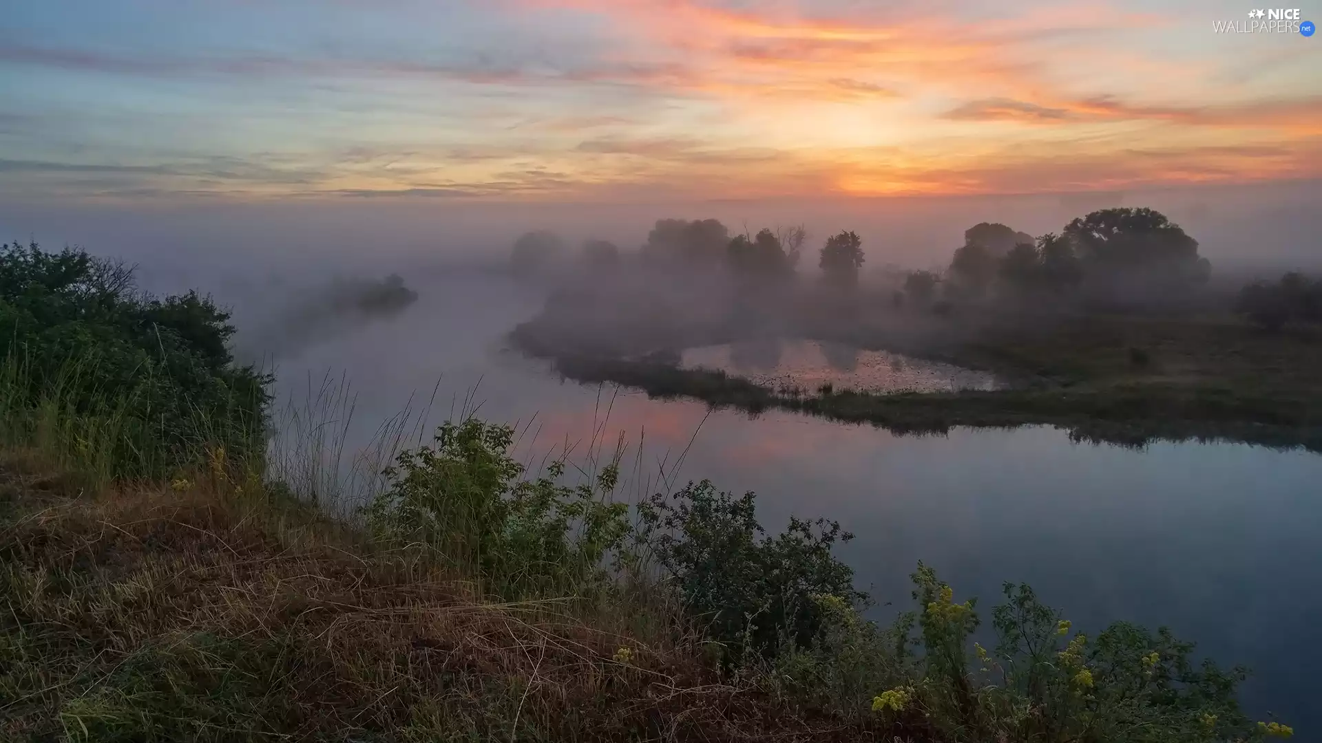 viewes, River, Sunrise, morning, Fog, trees