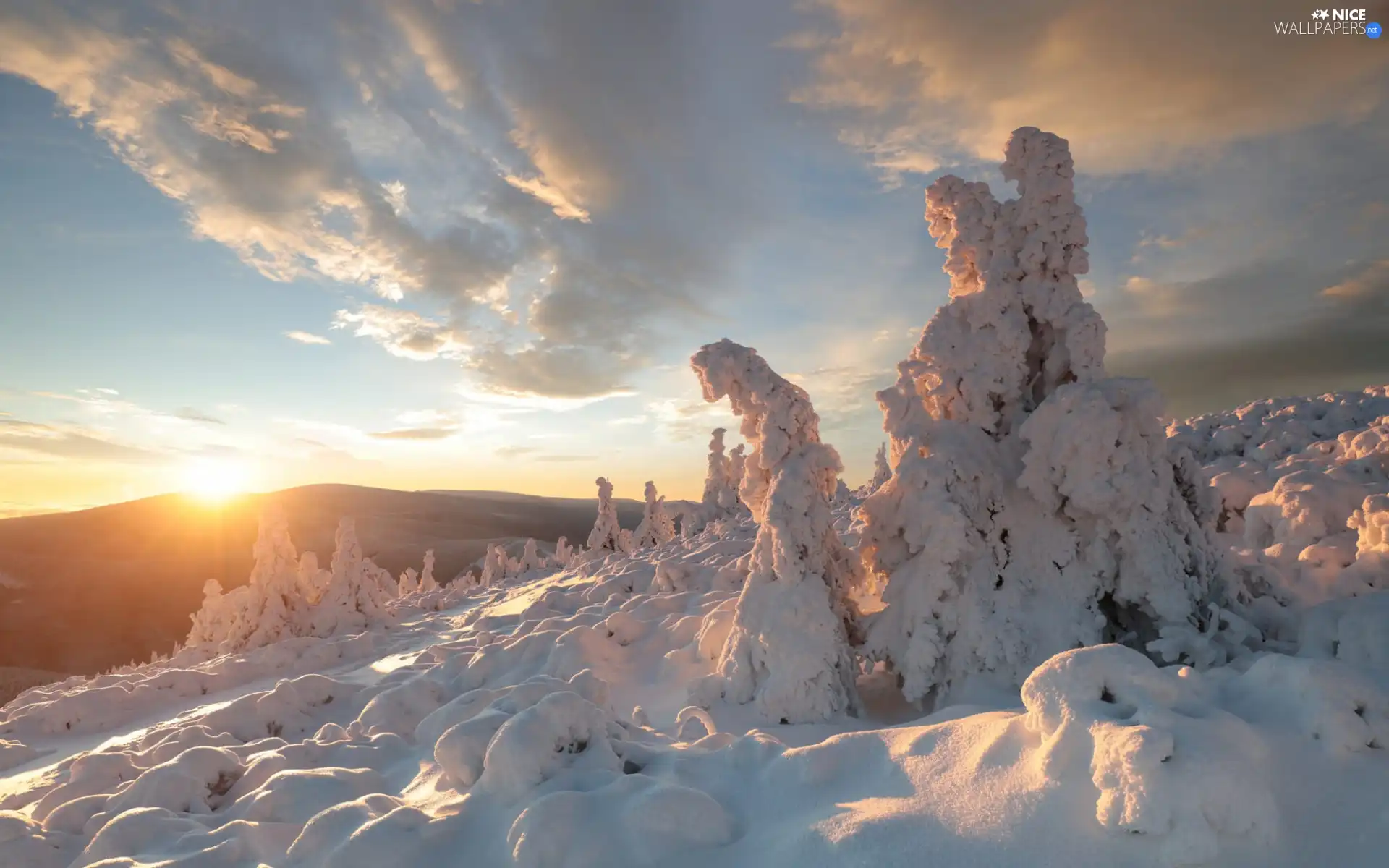 snow, Field, viewes, trees, snow, Sunrise, morning, viewes, trees, Mountains, drifts