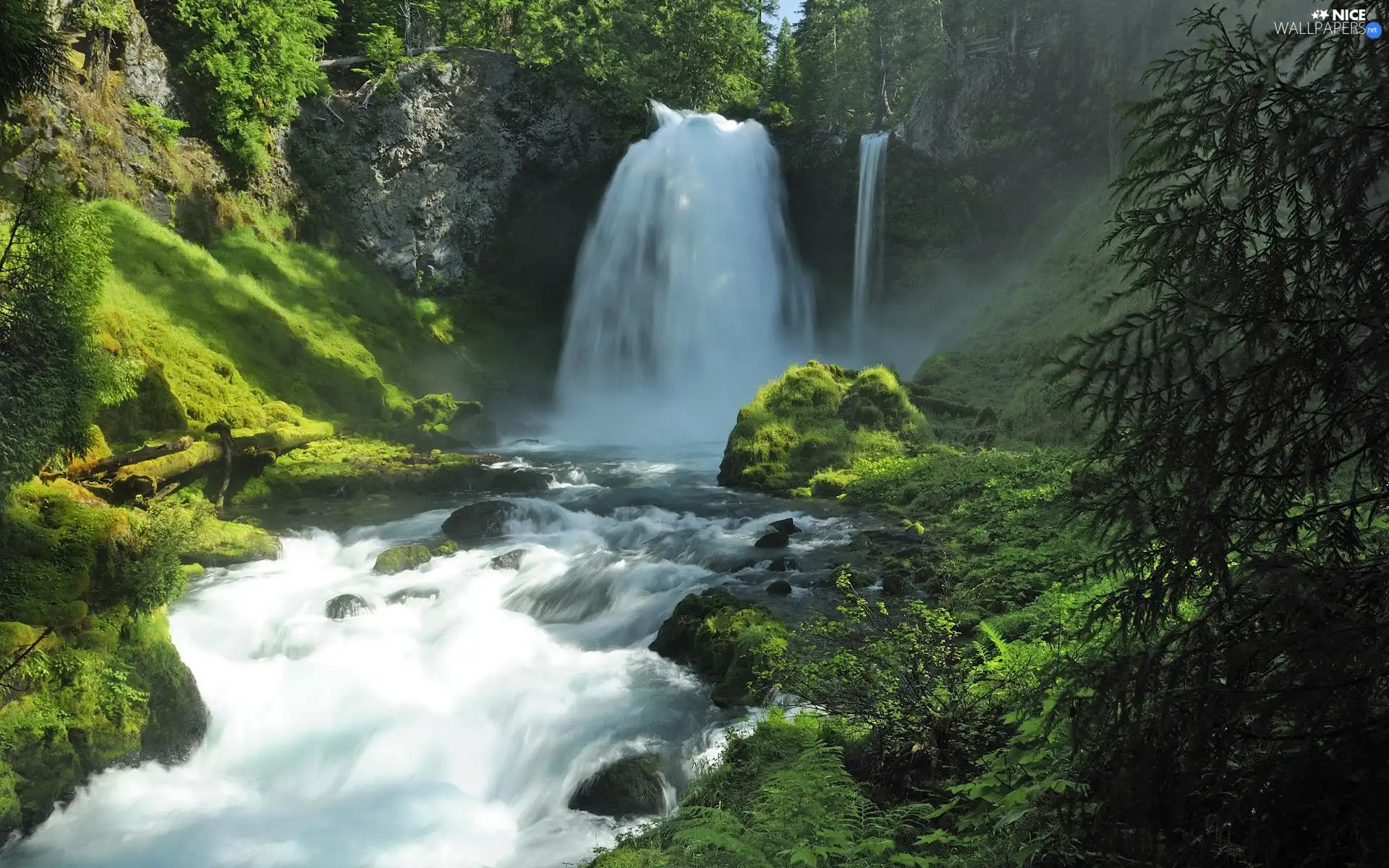 Moss, waterfall, rocks