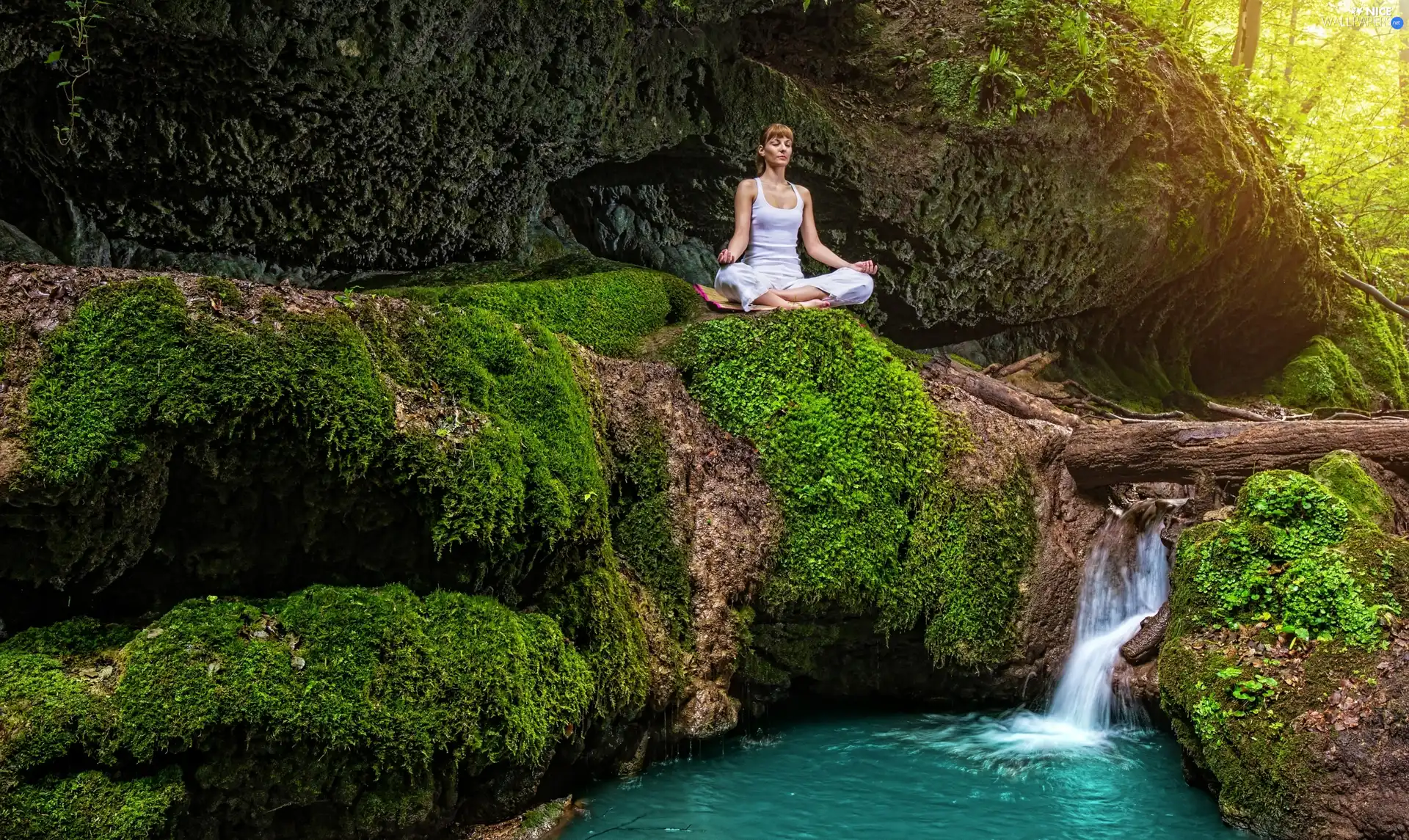 Moss, VEGETATION, rocks, Women, cascade