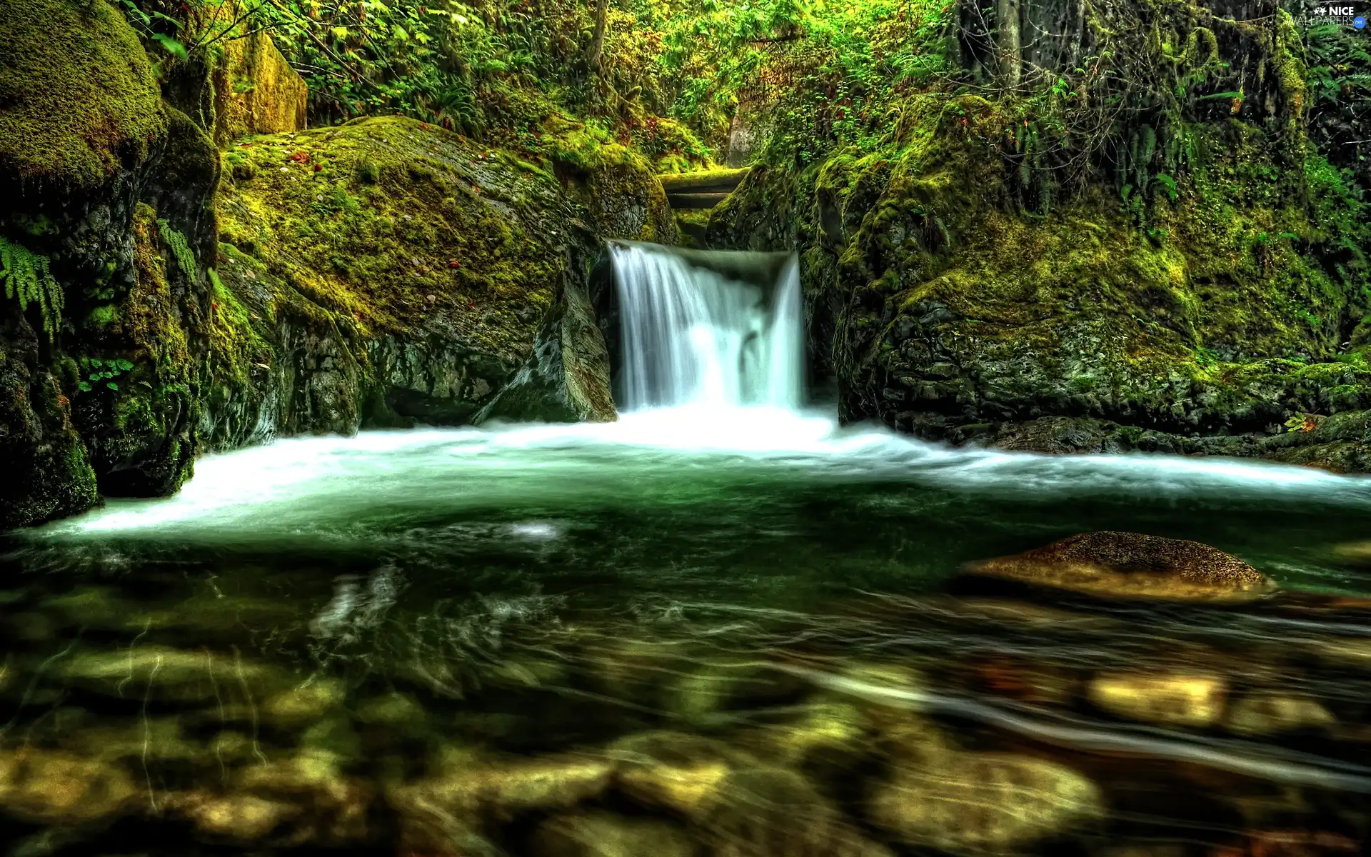 waterfall, viewes, Moss, trees