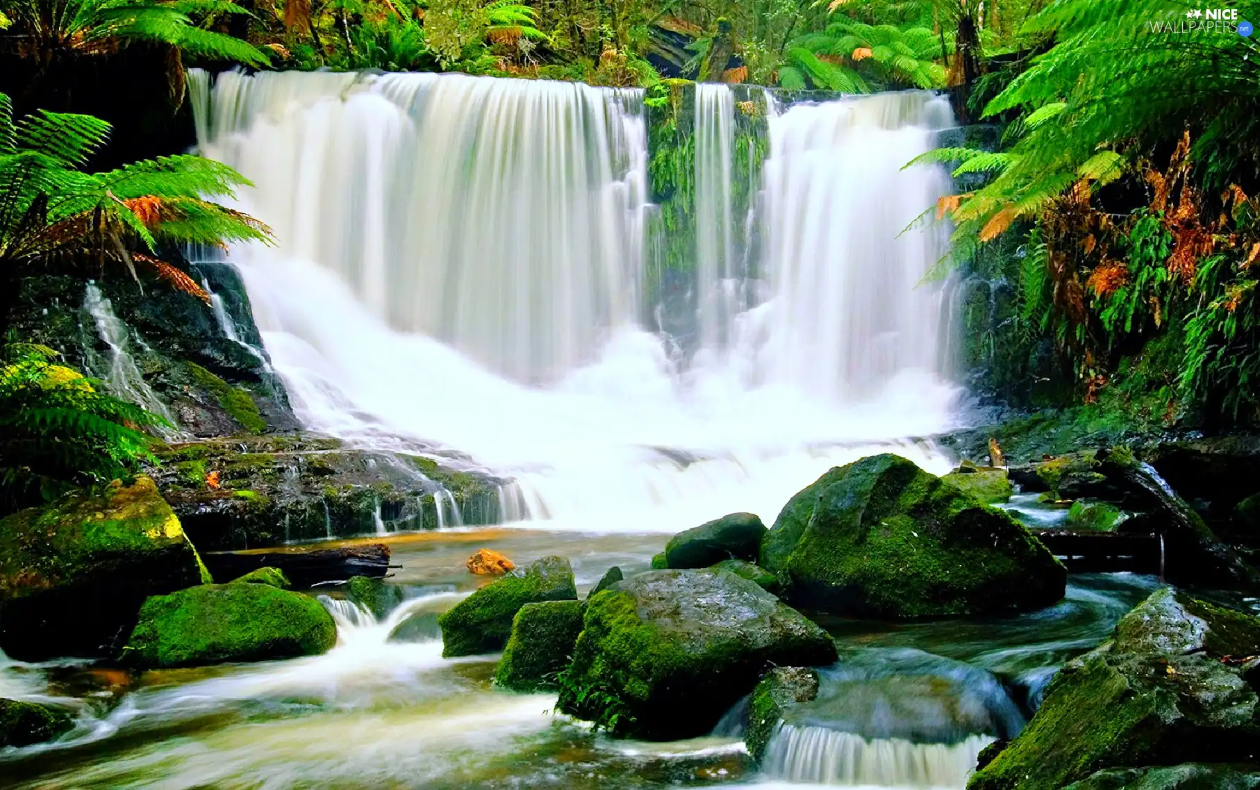 mosses, waterfall, rocks